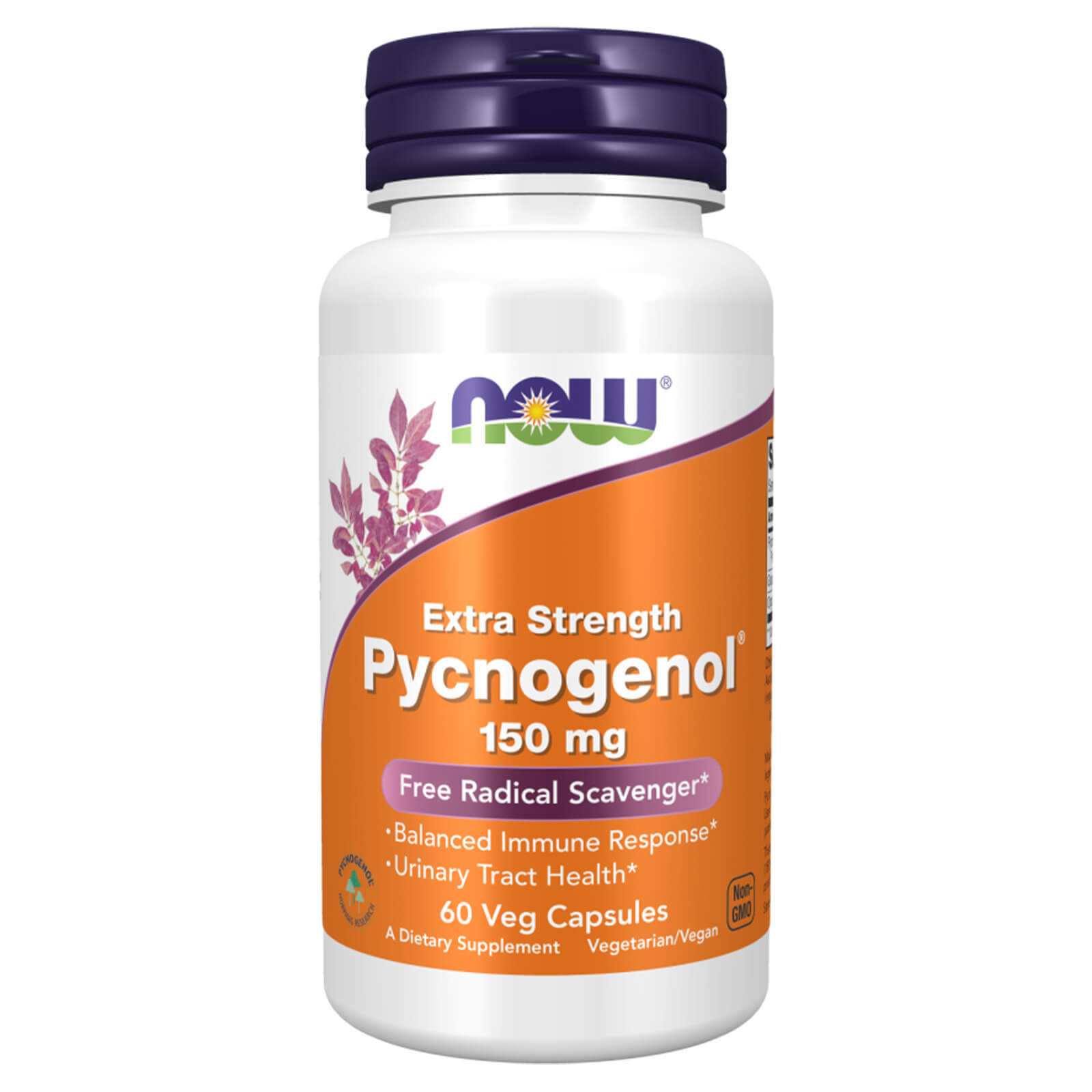 NOW Pycnogenol Extra Strength 150 mg – 60 Veg Capsules, Balanced Immune Response