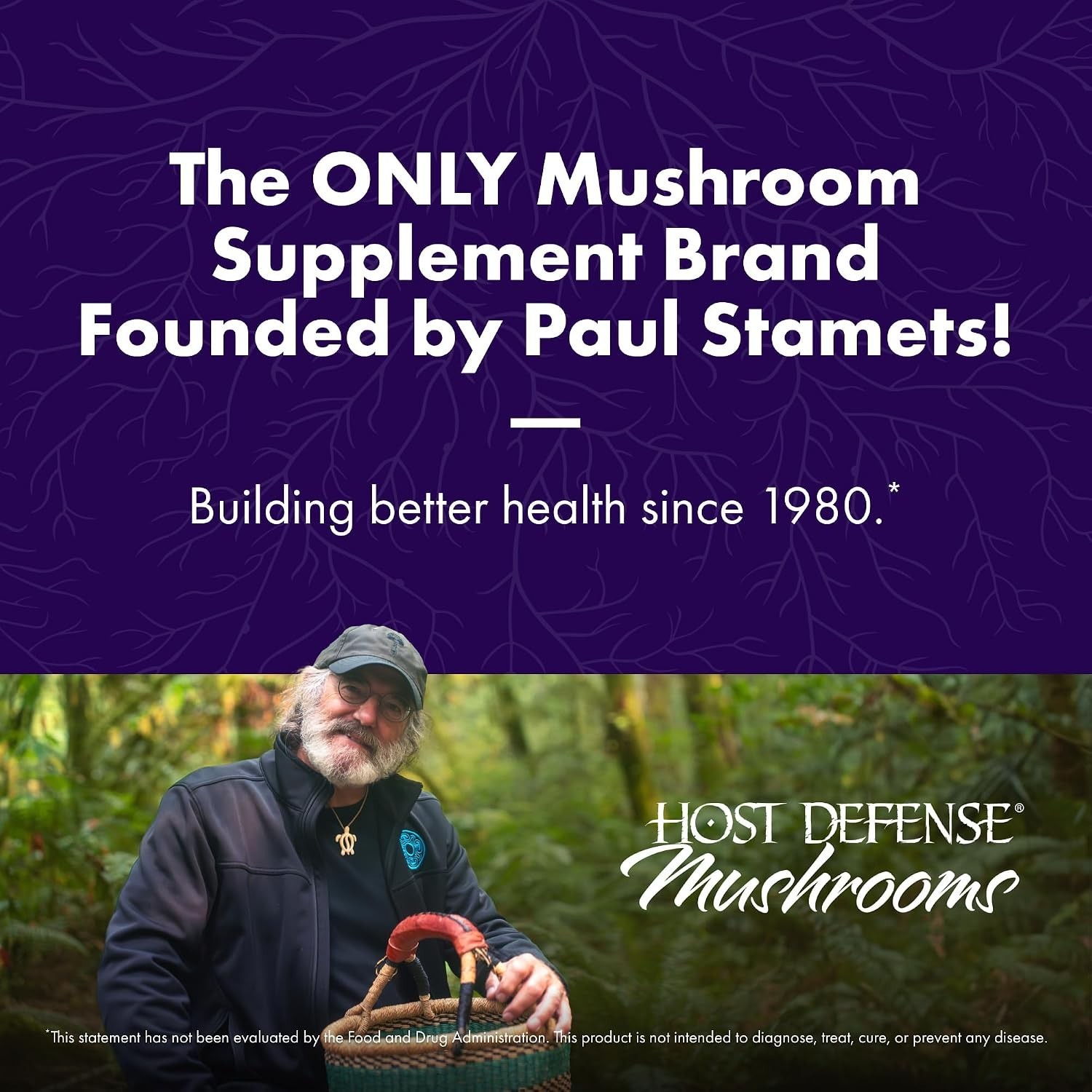 Organic Lion’s Mane Mushroom Capsules 240 Count for Daily Brain Wellness