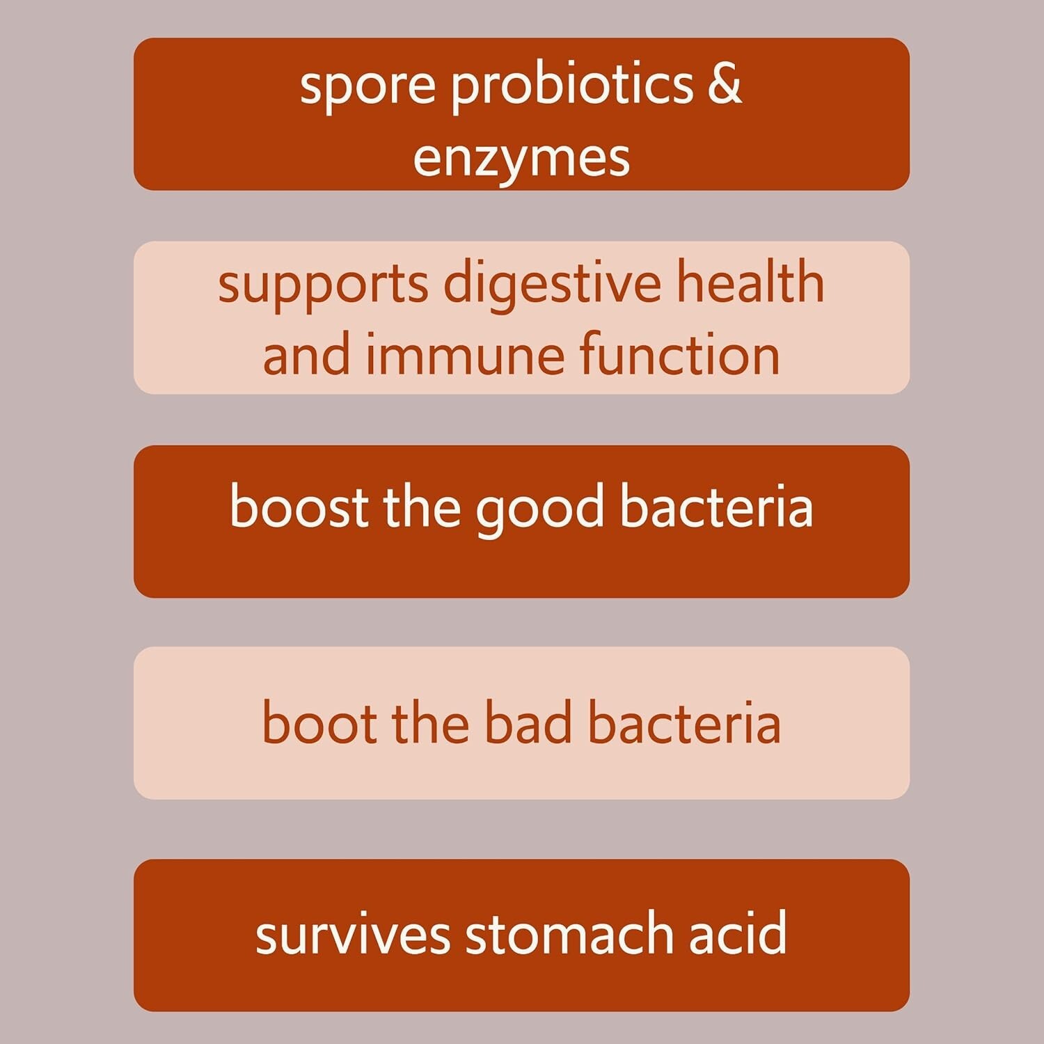 Bacillus B3 Probiotics – Bacillus Subtilis, Coagulans Clausii Enzymes prebiotic
