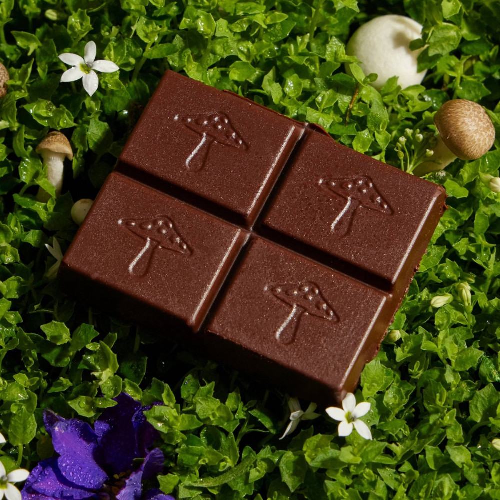 Alice Mushrooms Brainstorm Mushroom Dietary Supplement Chocolates – 8ct