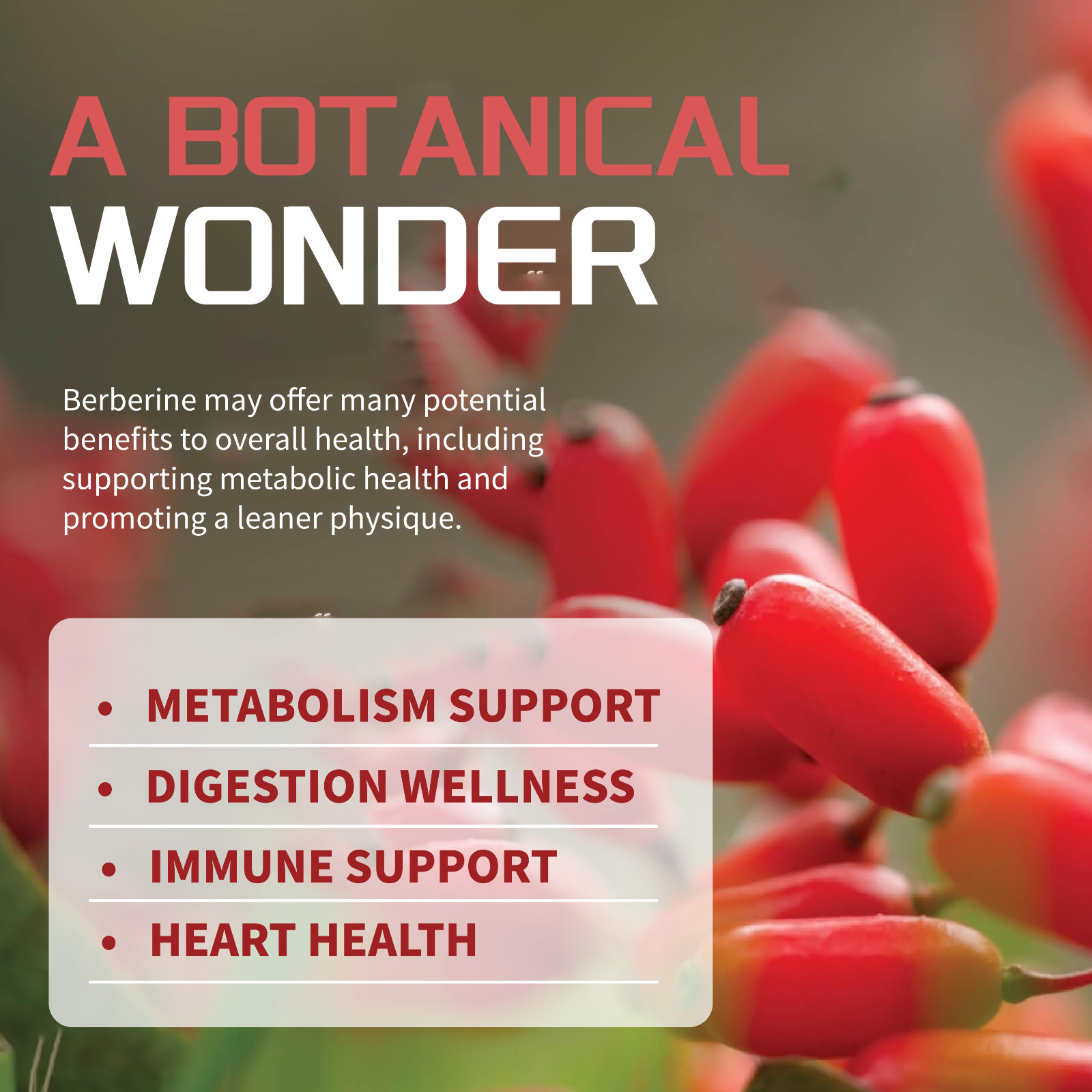 Berberine 1200mg High Absorption | Blood Sugar Immune Support 02/07/2027