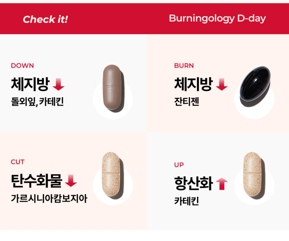Foodology Choleology Burningology D-Day 3.8g*5 packs (5 days) K-Beauty