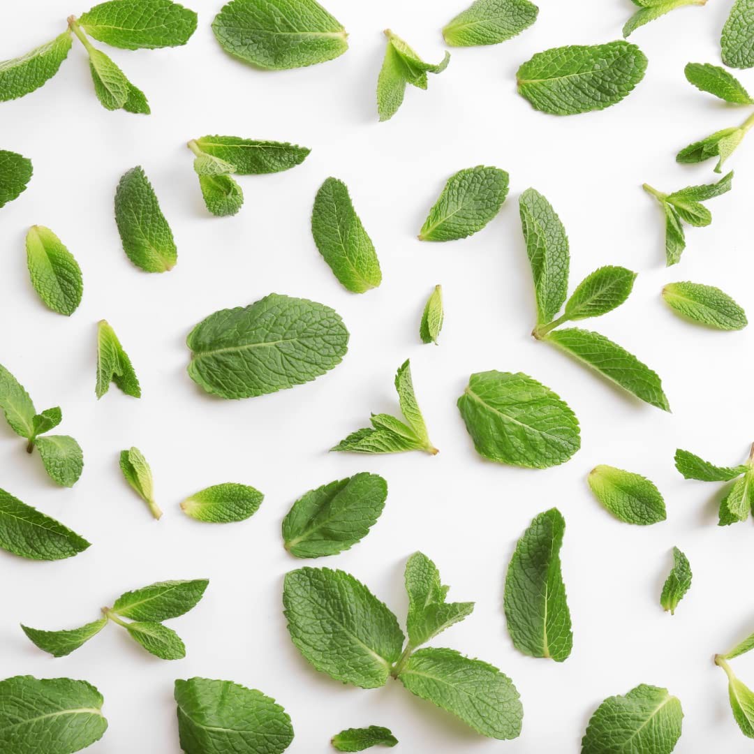 Menthol Crystals – 100% Pure Mentha Arvensis USP Food 8 Ounce (Pack of 1)
