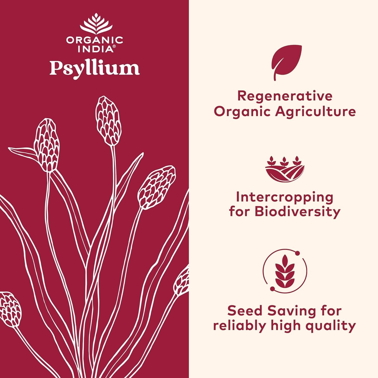 ORGANIC INDIA Psyllium Husk Powder | Organic Fiber Supplement | 12 oz x 2 Pack