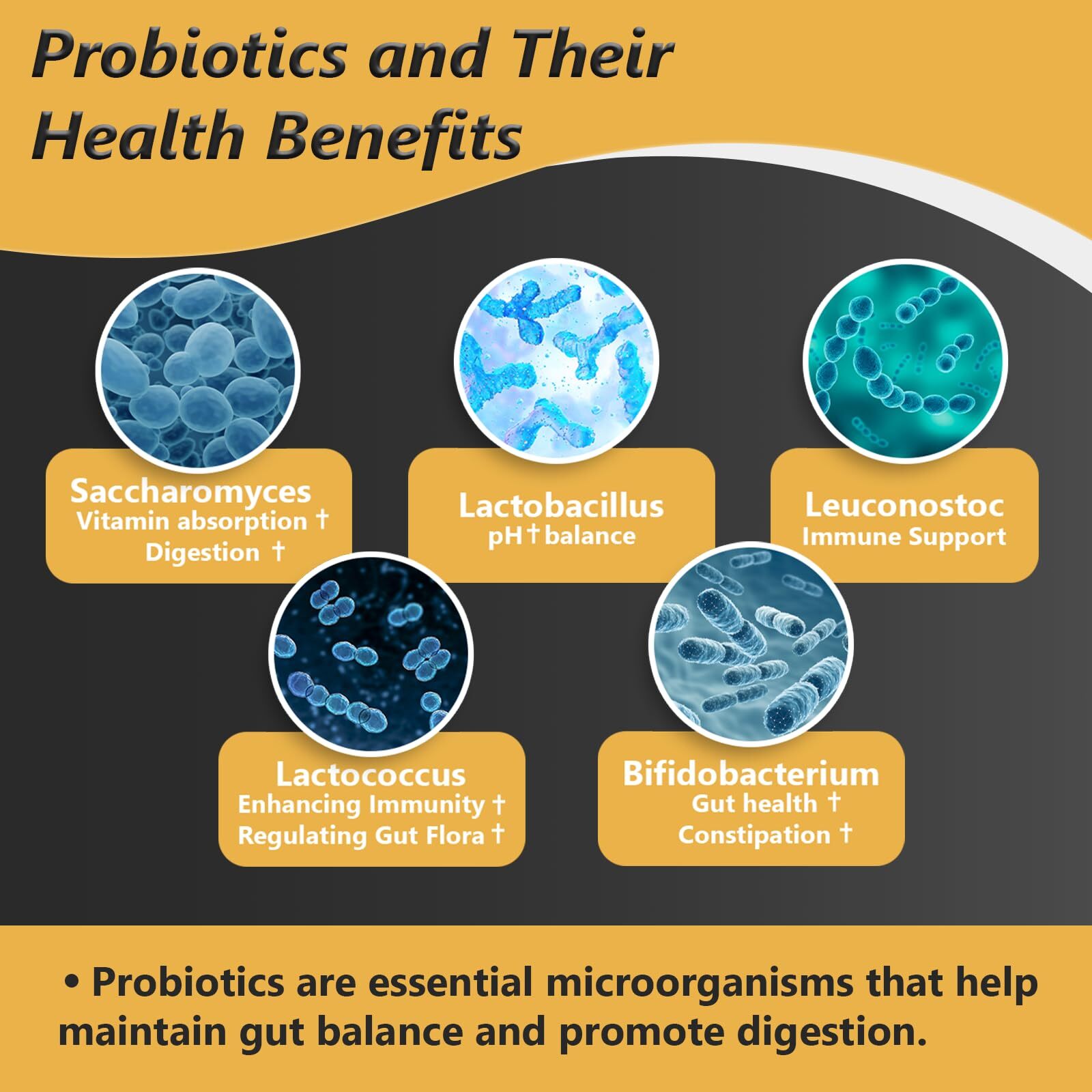 PROBIOTICS with Prebiotics Men Women Gut Digestive Health 60ct 2 Pack PRORIGINAL