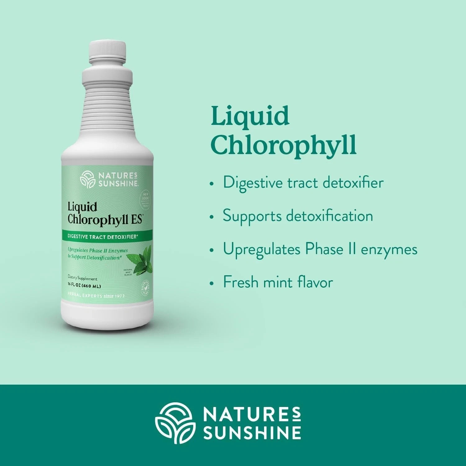 Nature’s Sunshine Liquid Chlorophyll 16 oz Digestive Detox Free Shipping