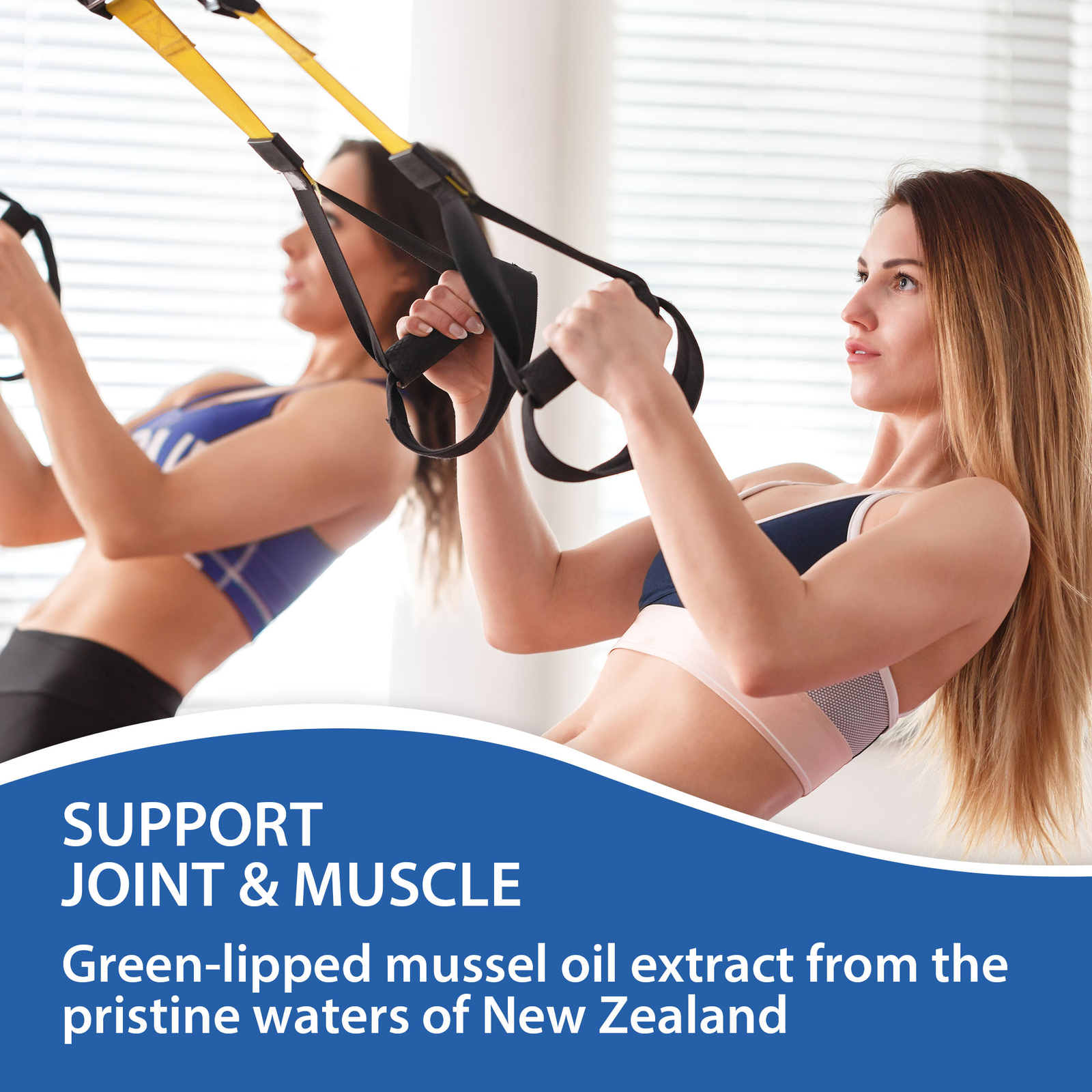Joint & Muscle Support – Green-Lipped Mussel, Relieve Pain and Inflammation