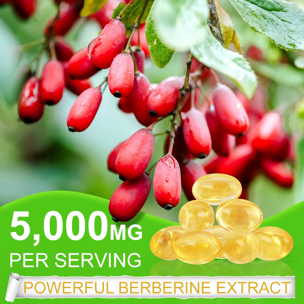 1-3 Packs Berberine HCL 5000mg 60 Caps Premium Metabolic Health Supplement