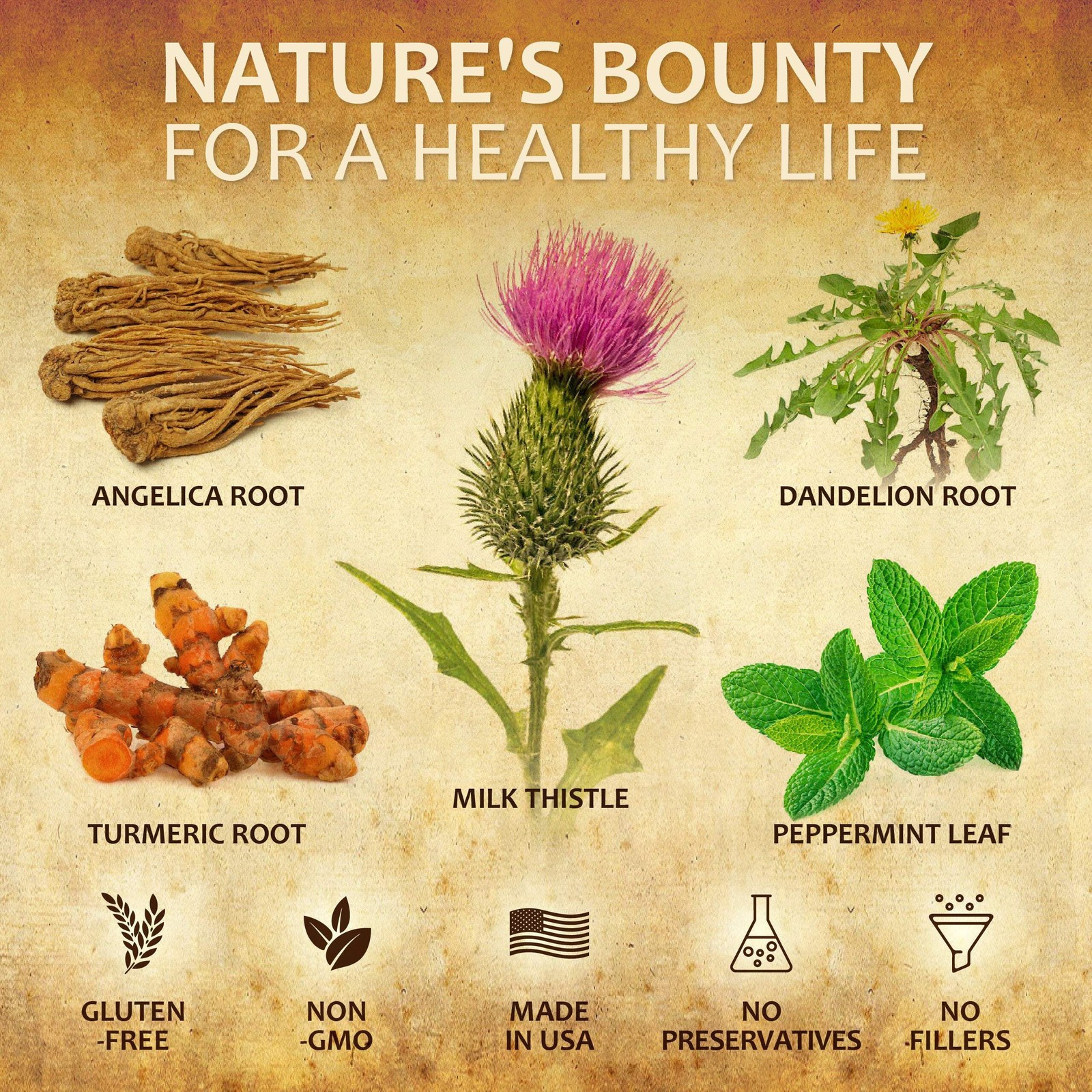 Liver Support Drops Milk Thistle, Dandelion, Turmeric for Liver Cleanse & Detox