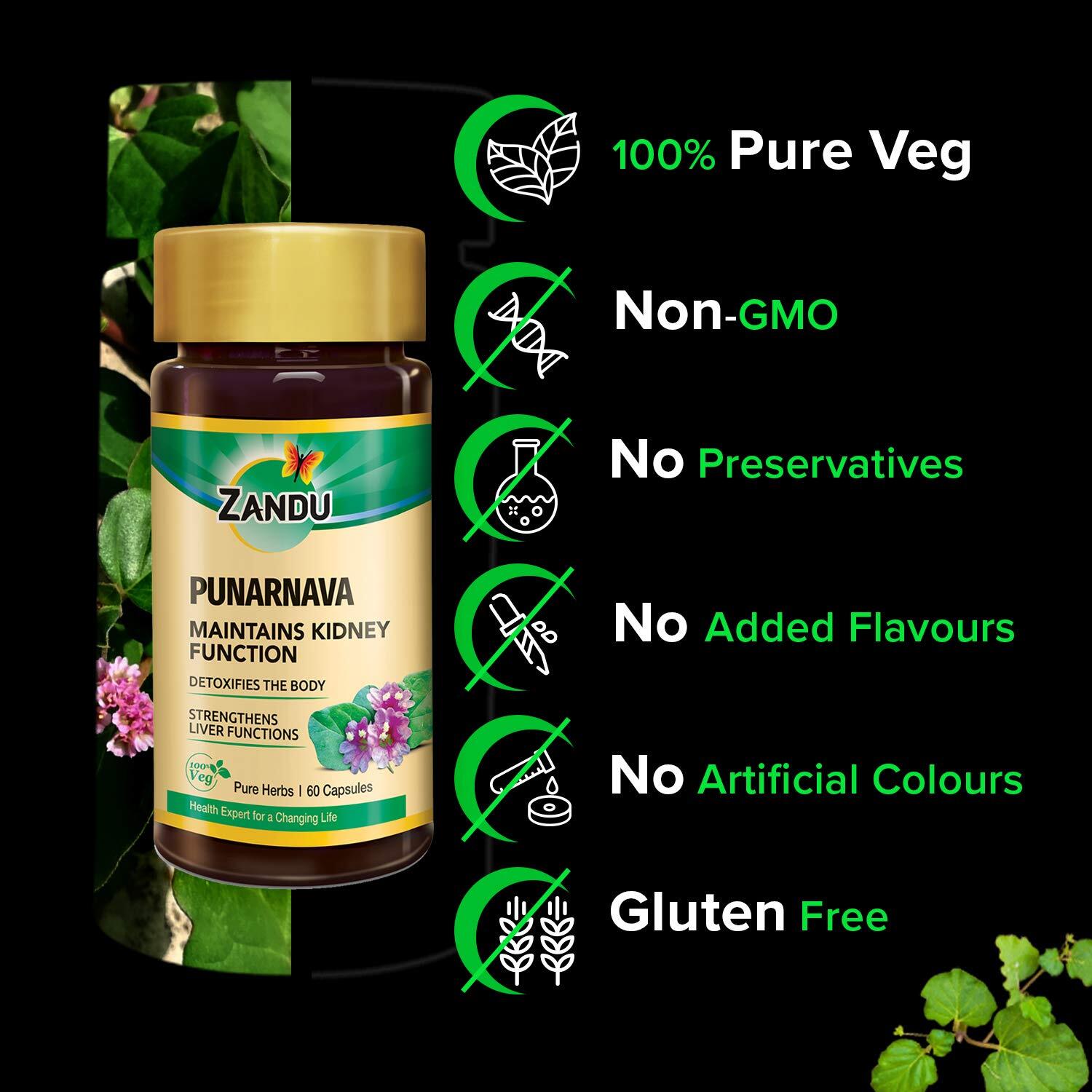 Zandu Punarnava Capsules, Maintains Kidney Function & Liver. (2 Packs) 120 Caps