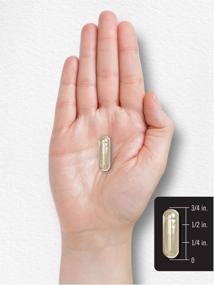 Easy Iron | 28 mg | 300 Capsules | Non-GMO | Gentle On Your Stomach | by Carlyle