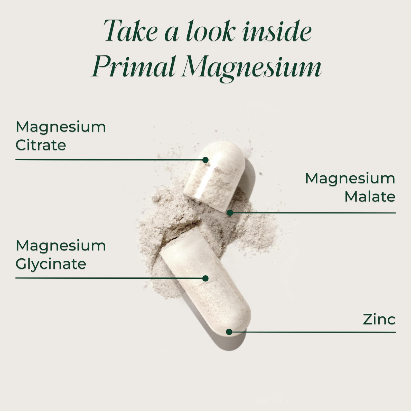 Magnesium Supplement Complex 310mg by Primal Harvest 120 Count (Pack of 1)