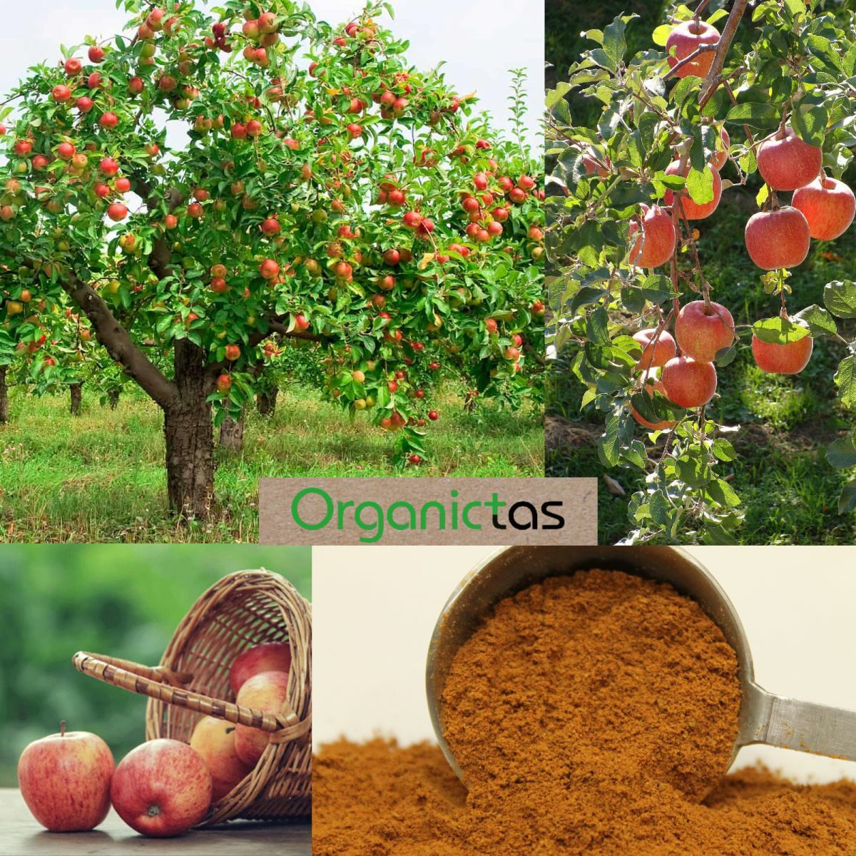 Pure Organic Apple Powder, 100% Natural Vitamin, Mineral & Antioxidant Source
