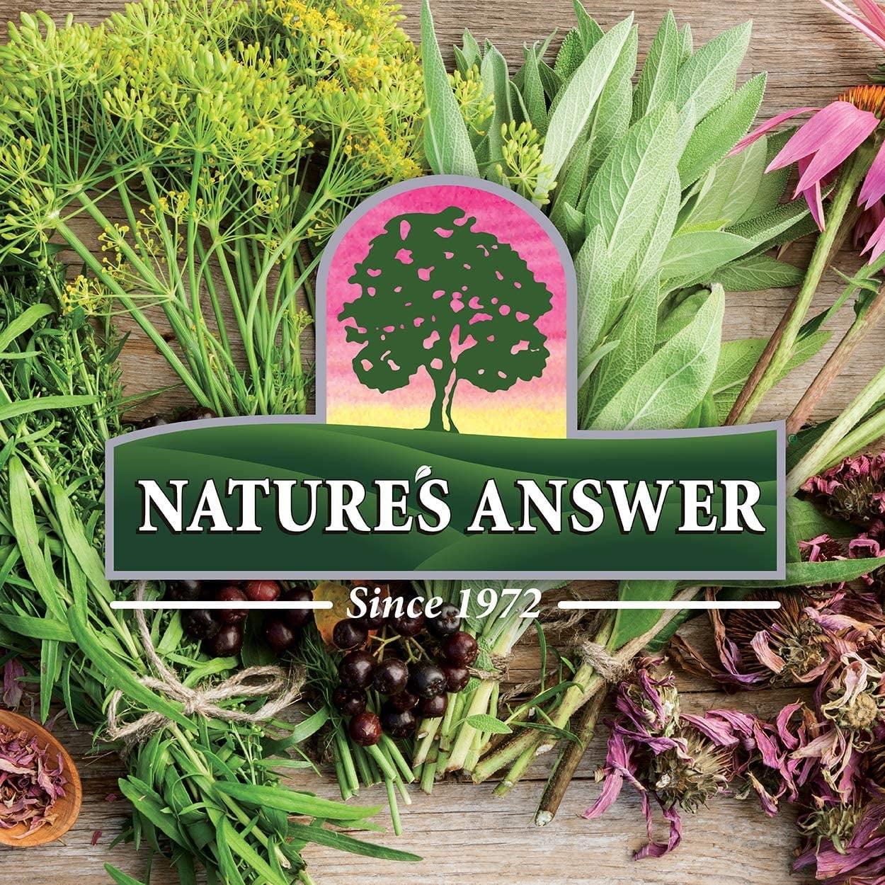 Nature’s Answer UT Answer®, D-Mannose & Cranberry Concentrate, 4 fl oz (120 ml)
