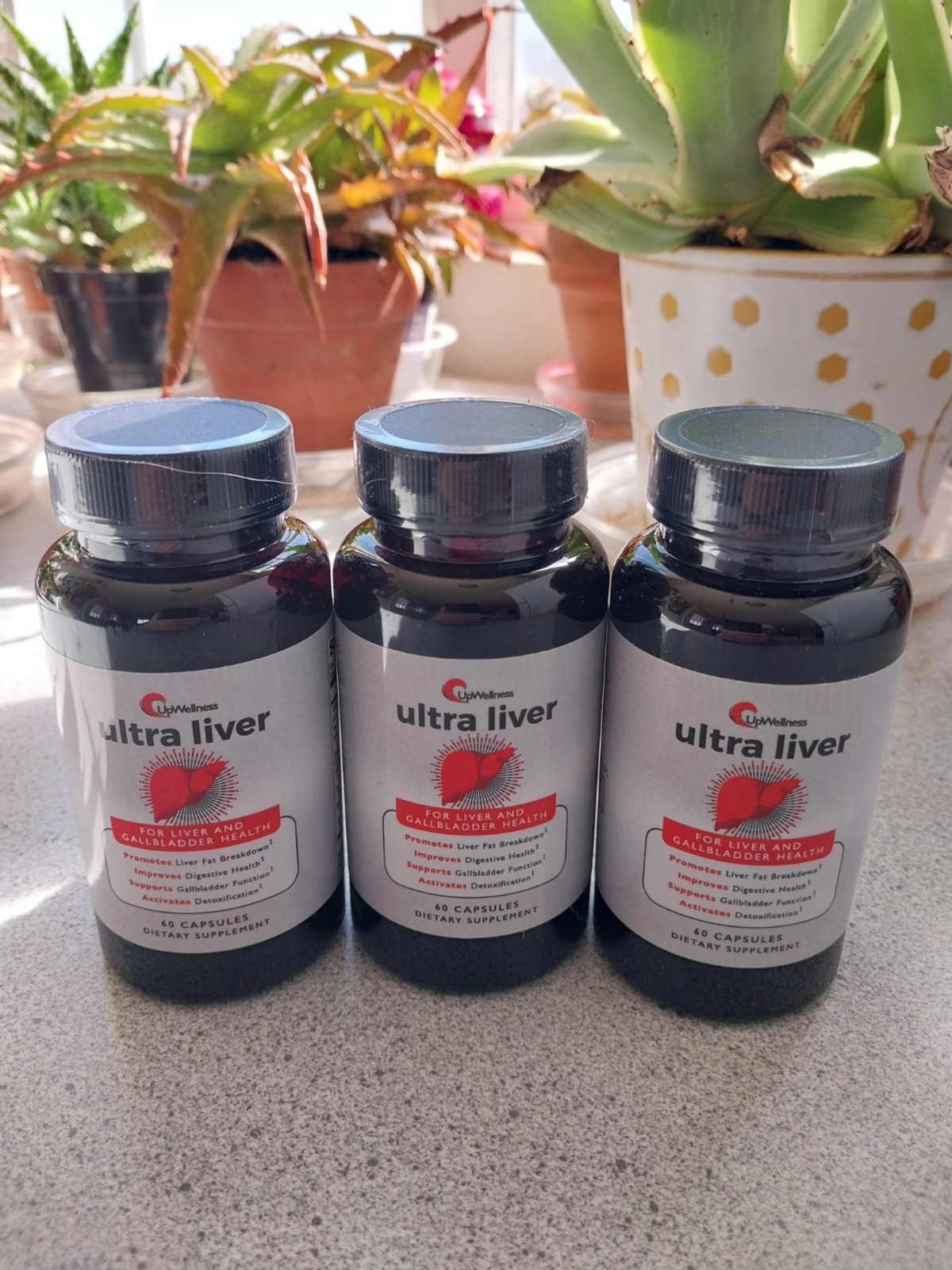 3 Bottles UpWellness Ultra Liver Supplement, Liver Health & Gallbladder Support