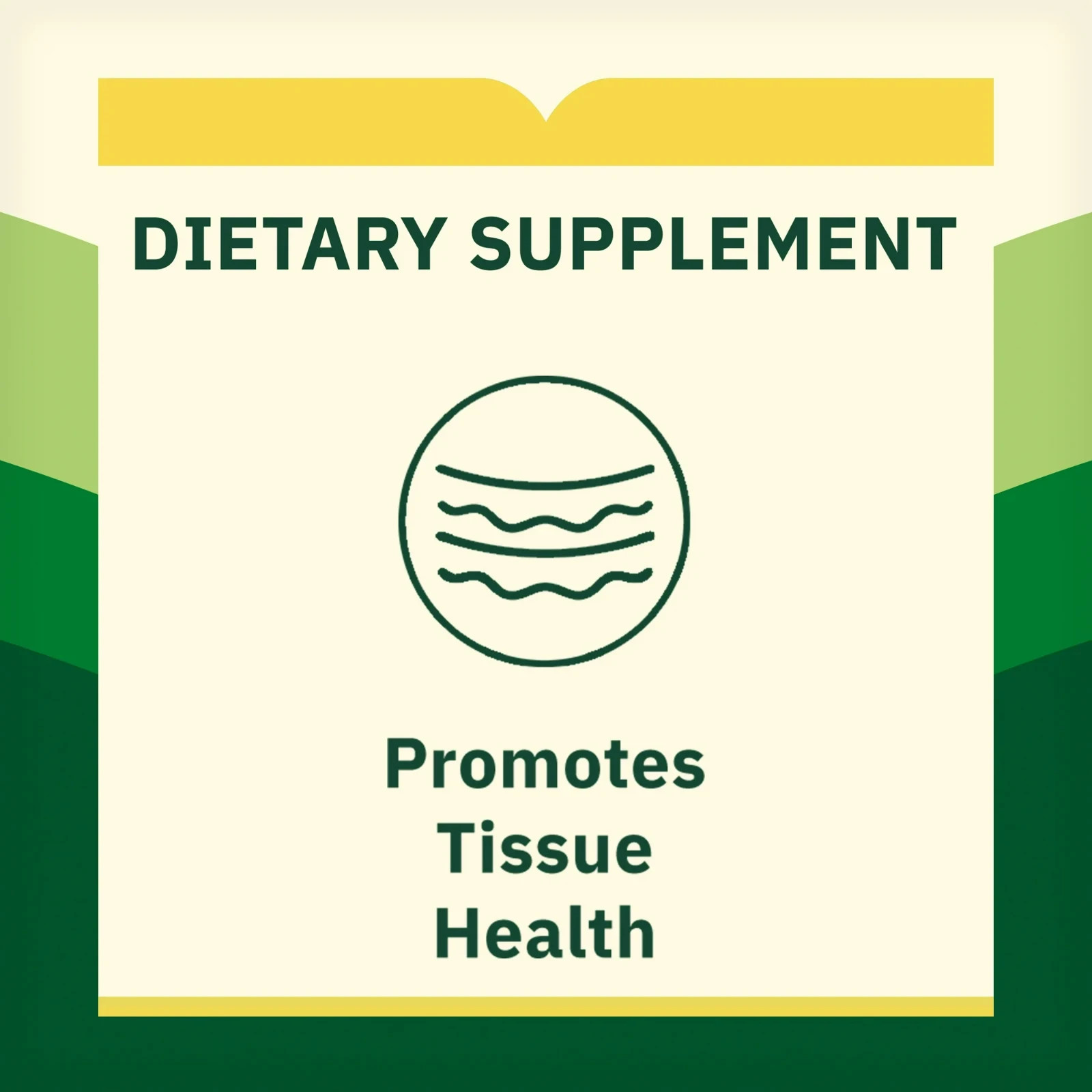 Spring Valley L-lysine Tablets 1000 mg 100 Tablets Fresh Stock Free Shipping