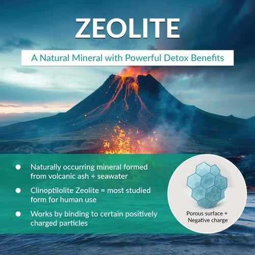 Organic Excellence Zeolite Clinoptilolite Powder – Pure Micronized Mineral Su…