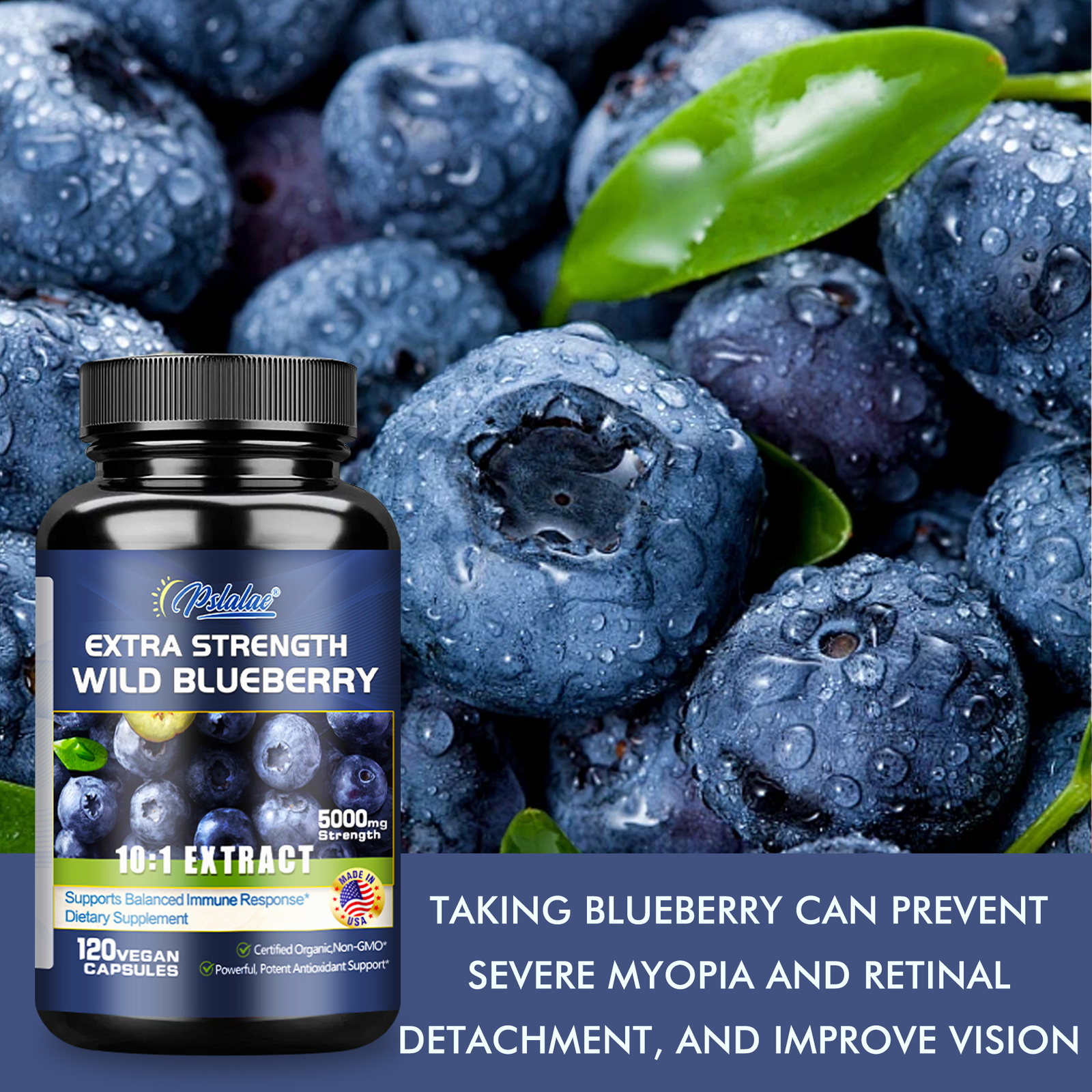 Wild Blueberry 5000mg – Support Antioxidant, Brain Health, Boosts Vision Memory
