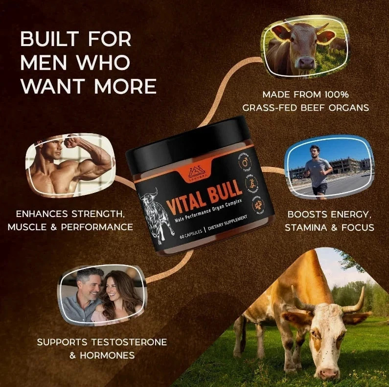 Vital Bull Beef Organ Supplement for Men – Grass Fed Organs with Heart US