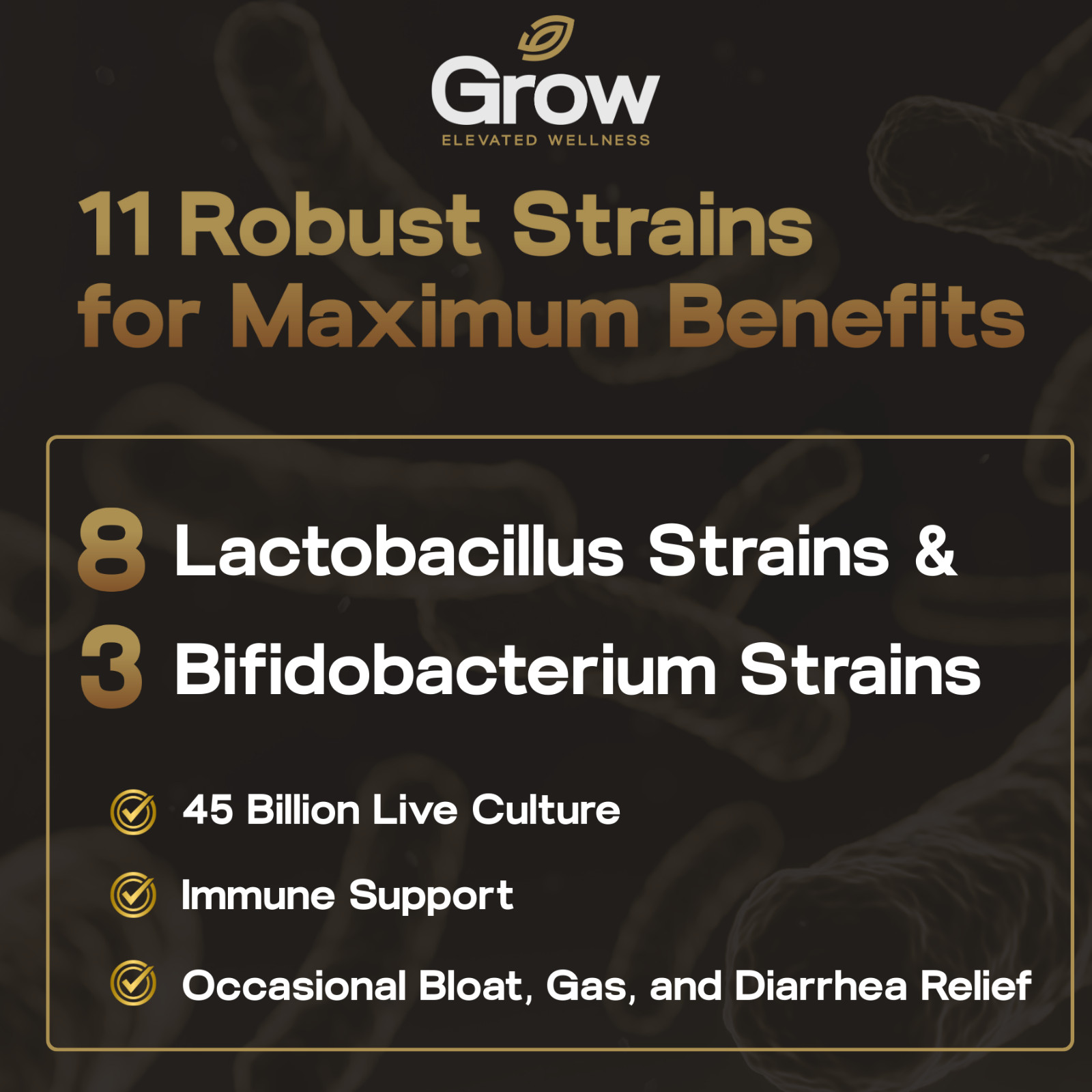 Daily Probiotics w/ Prebiotics 60 Billion CFU Vegan Gut & Digestive Health 30ct