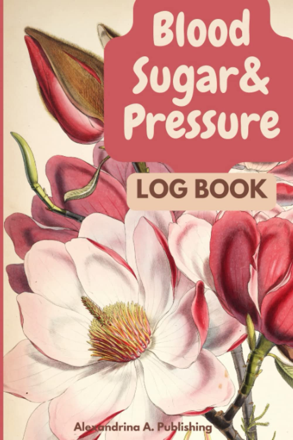 Blood Sugar & Pressure Log Book: 2 Years Glucose and Blood Pressure Record Book