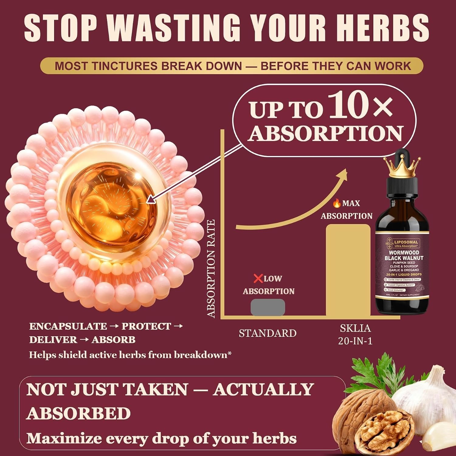Liposomal Wormwood & Black Walnut Cleanse Drops – Effective for Gut Health