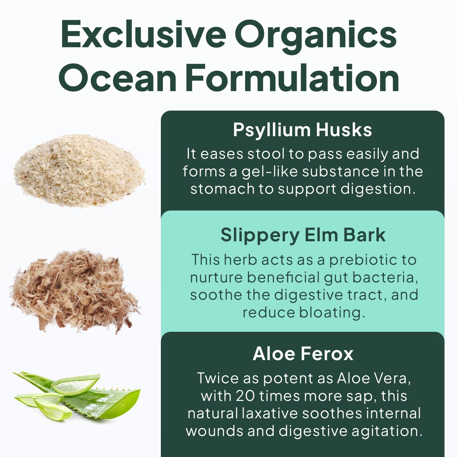 Organics Ocean Better Fiber Daily Fiber Supplement Soften Stool for Effortl…