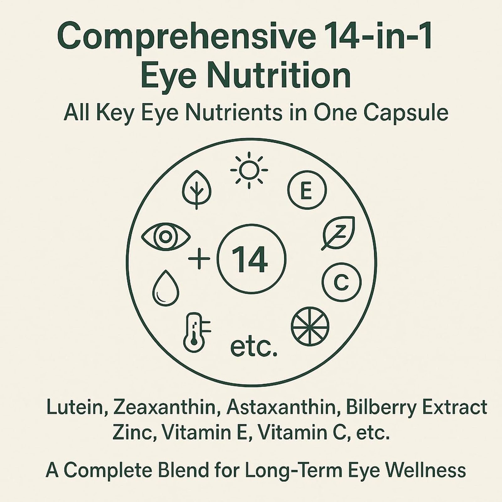 Evervision 14 In 1 Premium Eye Formula 60 Capsules Premium Formula