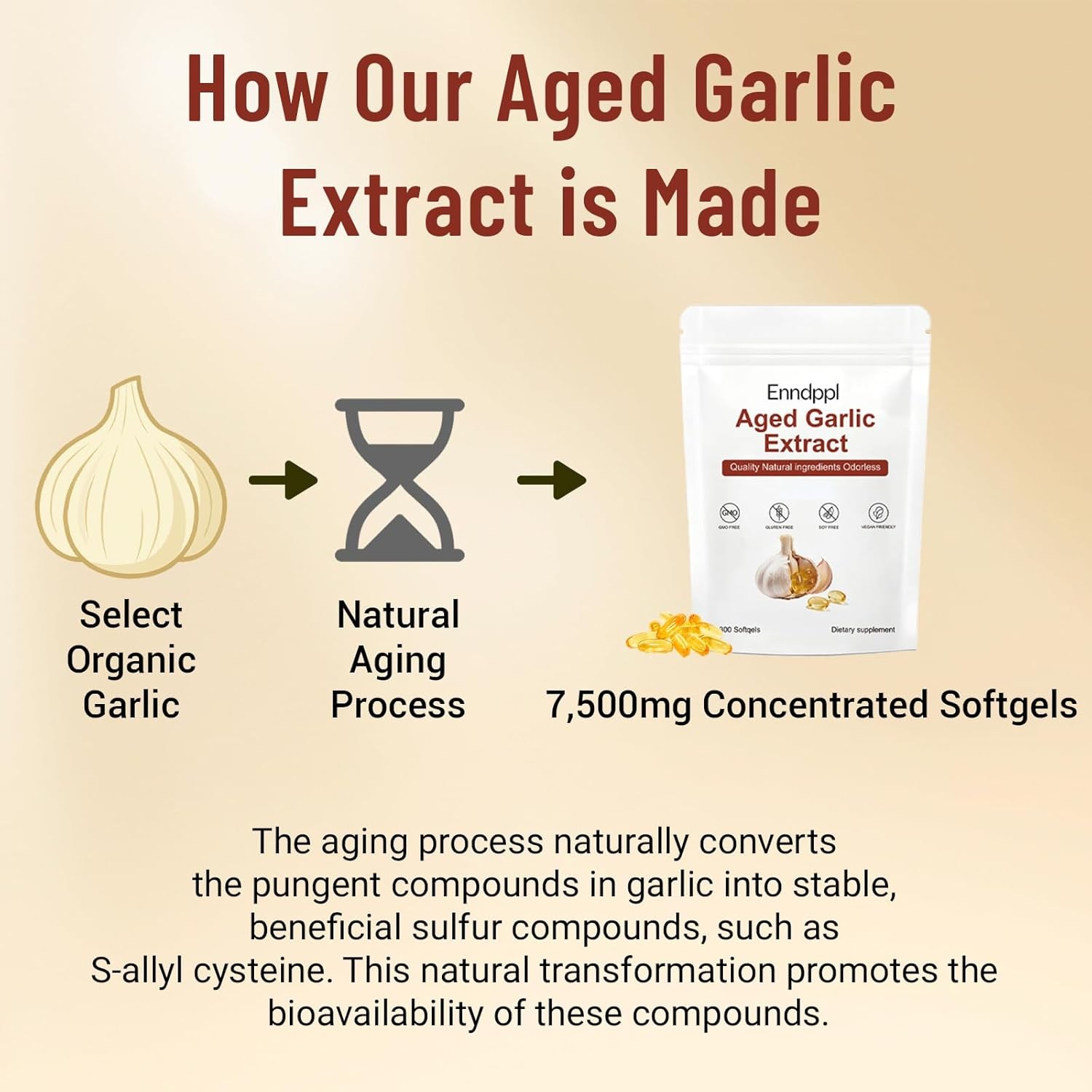 Elare Aged Garlic Extract, 300 Softgels, 7500mg Odorless | Heart & Immune pack 1