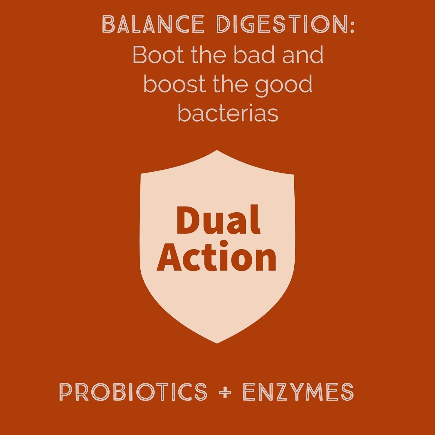 Bacillus B3 Probiotics – Bacillus Subtilis, Coagulans Clausii Enzymes prebiotic