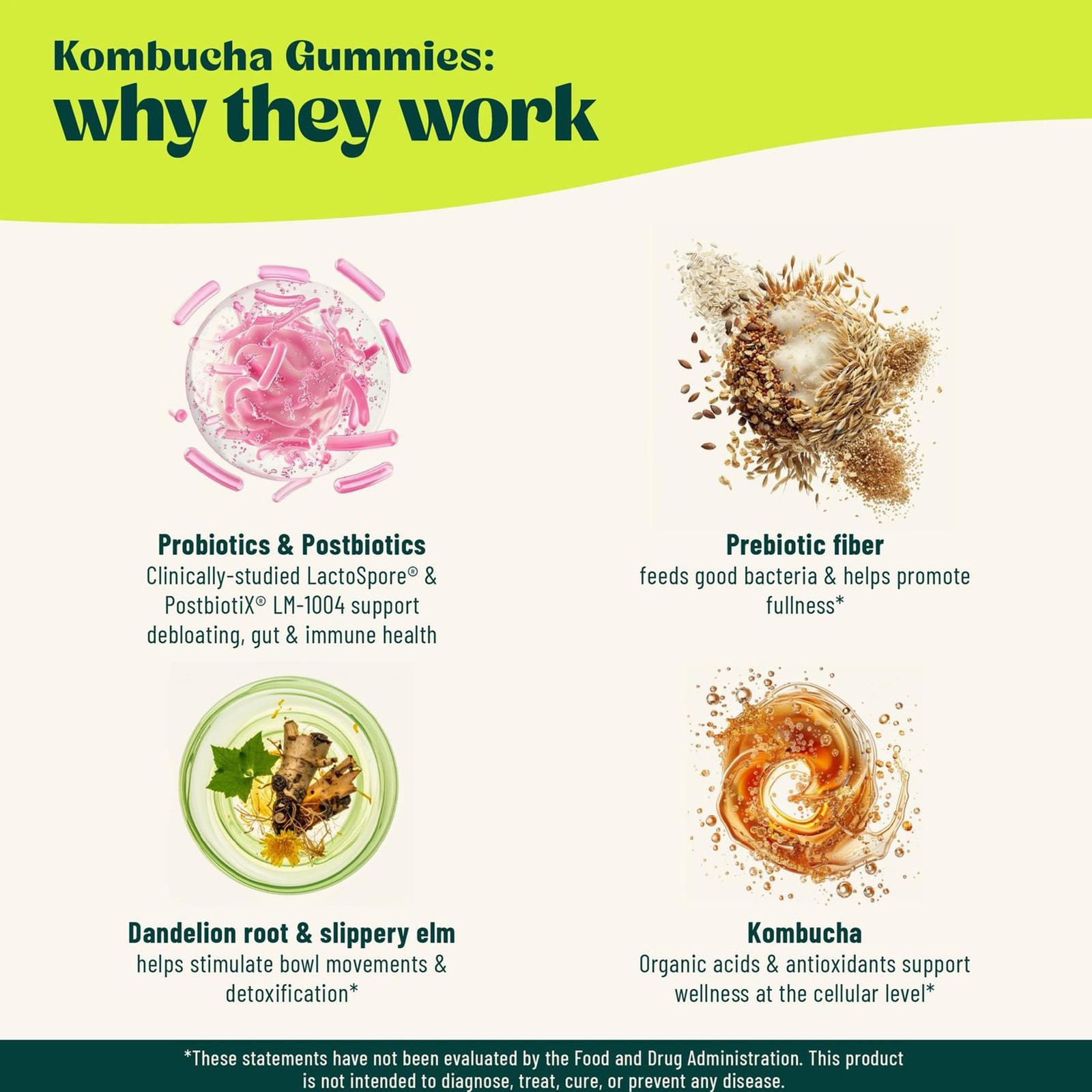 Probiotic Kombucha Gummy – Prebiotics, Gut Health – Probiotics For Women And Man