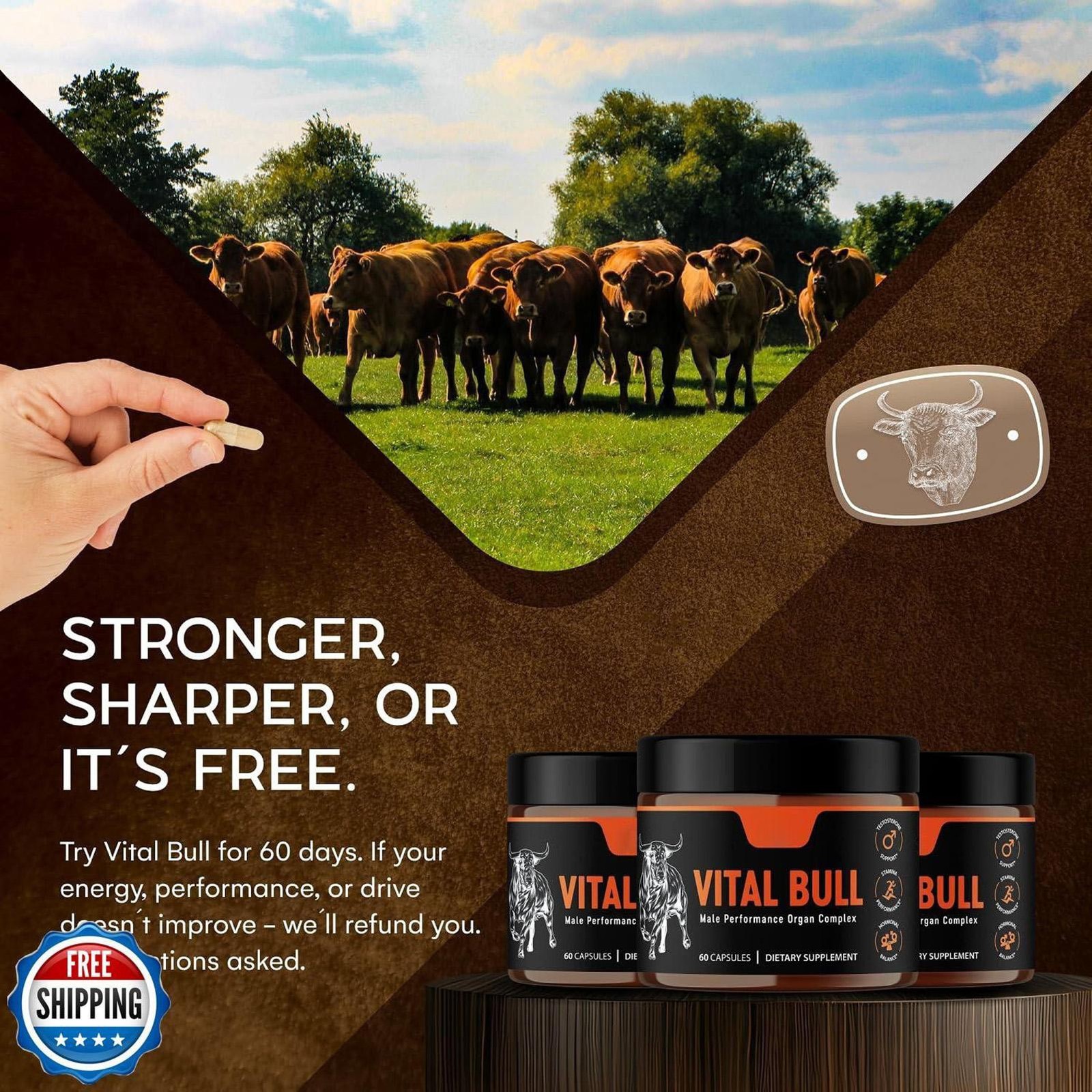 Vital Bull – Natural Men’s Wellness & Vitality Formula- 60 Caps/bottle