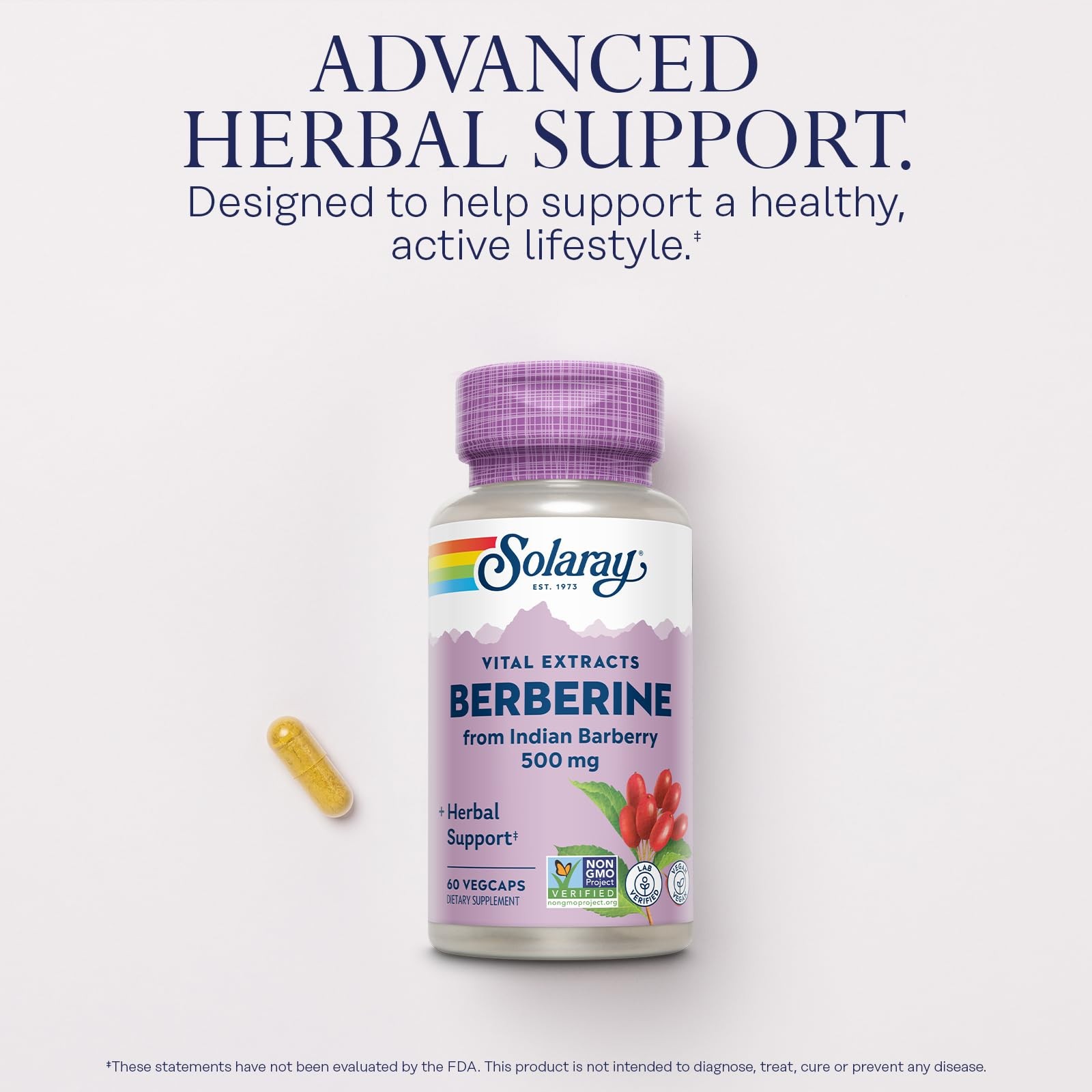 SOLARAY Berberine Extract 500 mg (60 Count (Pack of 1)) 60ct, White