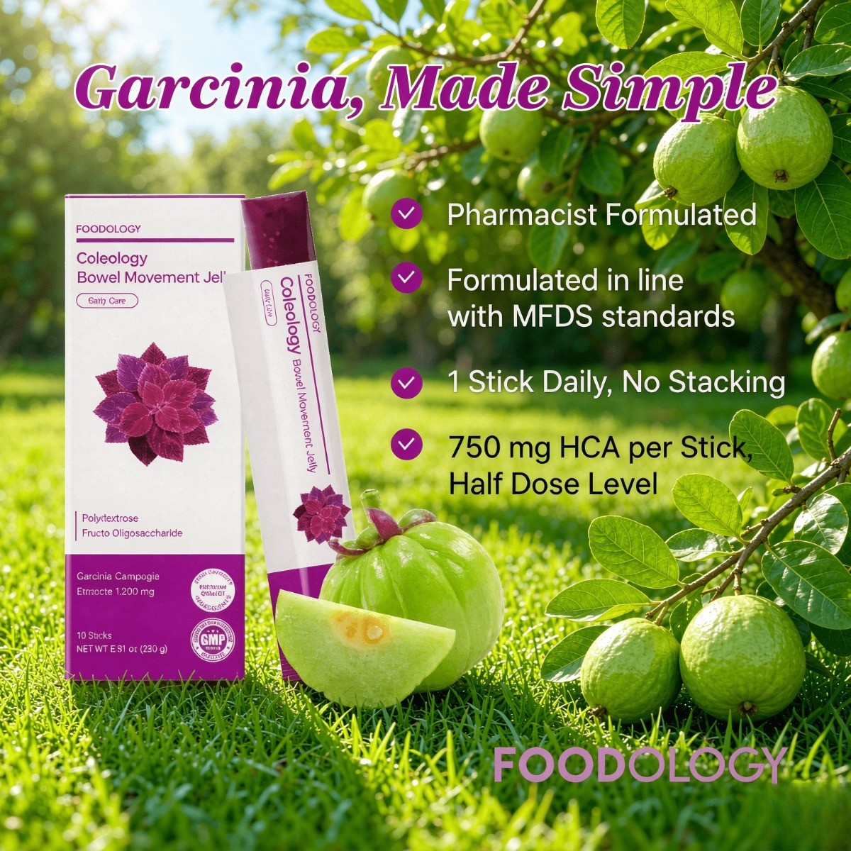 FOODOLOGY Coleology – Grape Jelly Sticks for Bloating & Digestive Comfort
