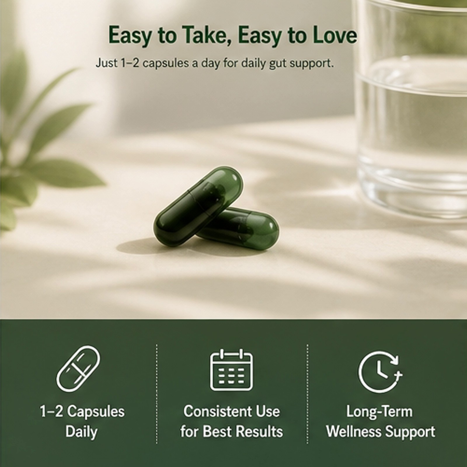 Seed DS-01 Daily Synbiotic Prebiotic & Probiotic Health Supplements 1 Pack NEW!