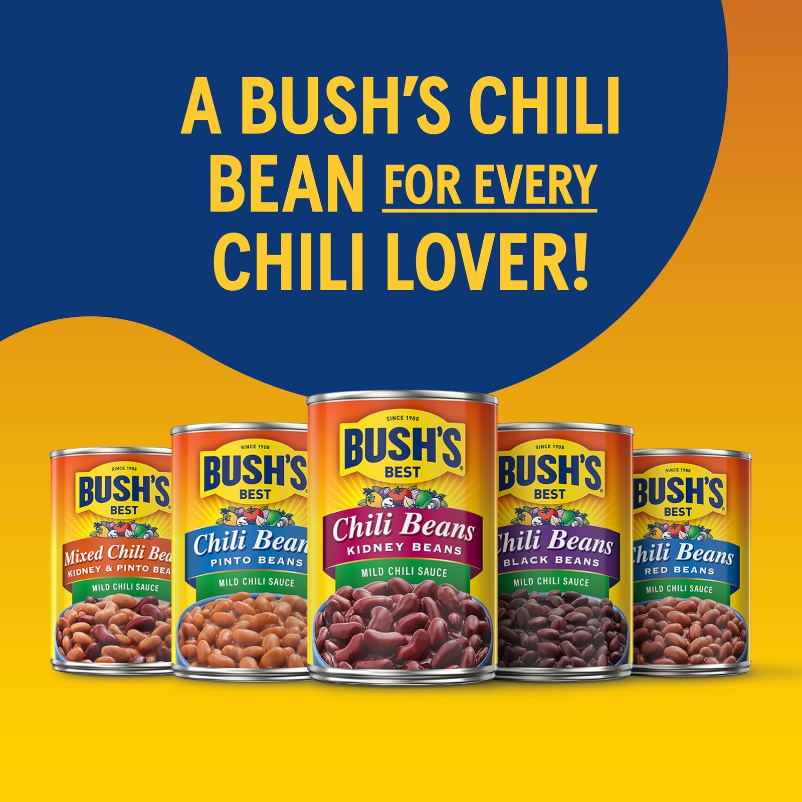 BUSH’S BEST 15.5 oz Black Chili Bean/Mild, Source of Protein Pack of 12