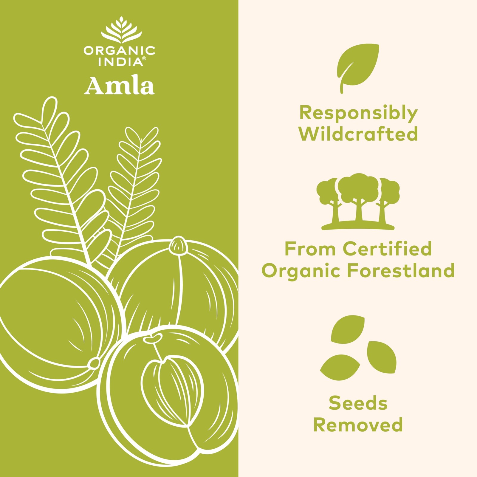 Organic India Amla Supplement 60 Count Stress Adaptogen Immune Support Detox …
