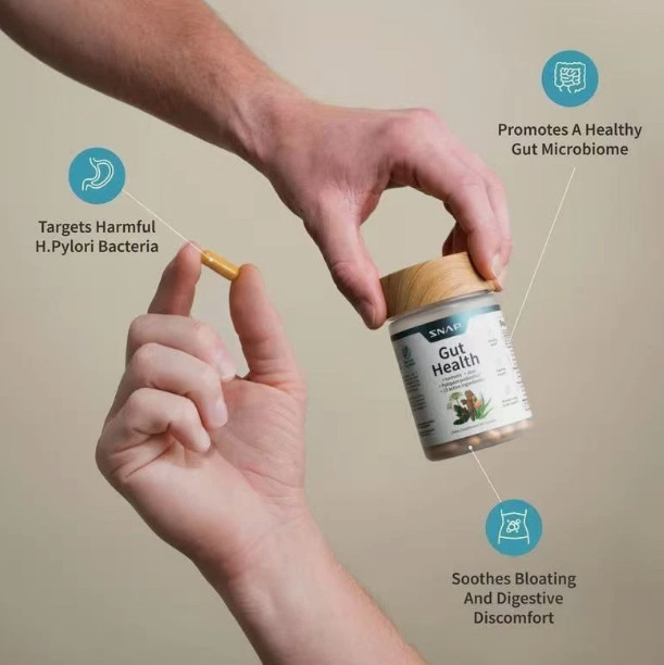 Two-pack Snap Gut Health + Organic Spirulina PYLOPASS H Pylori Probiotic