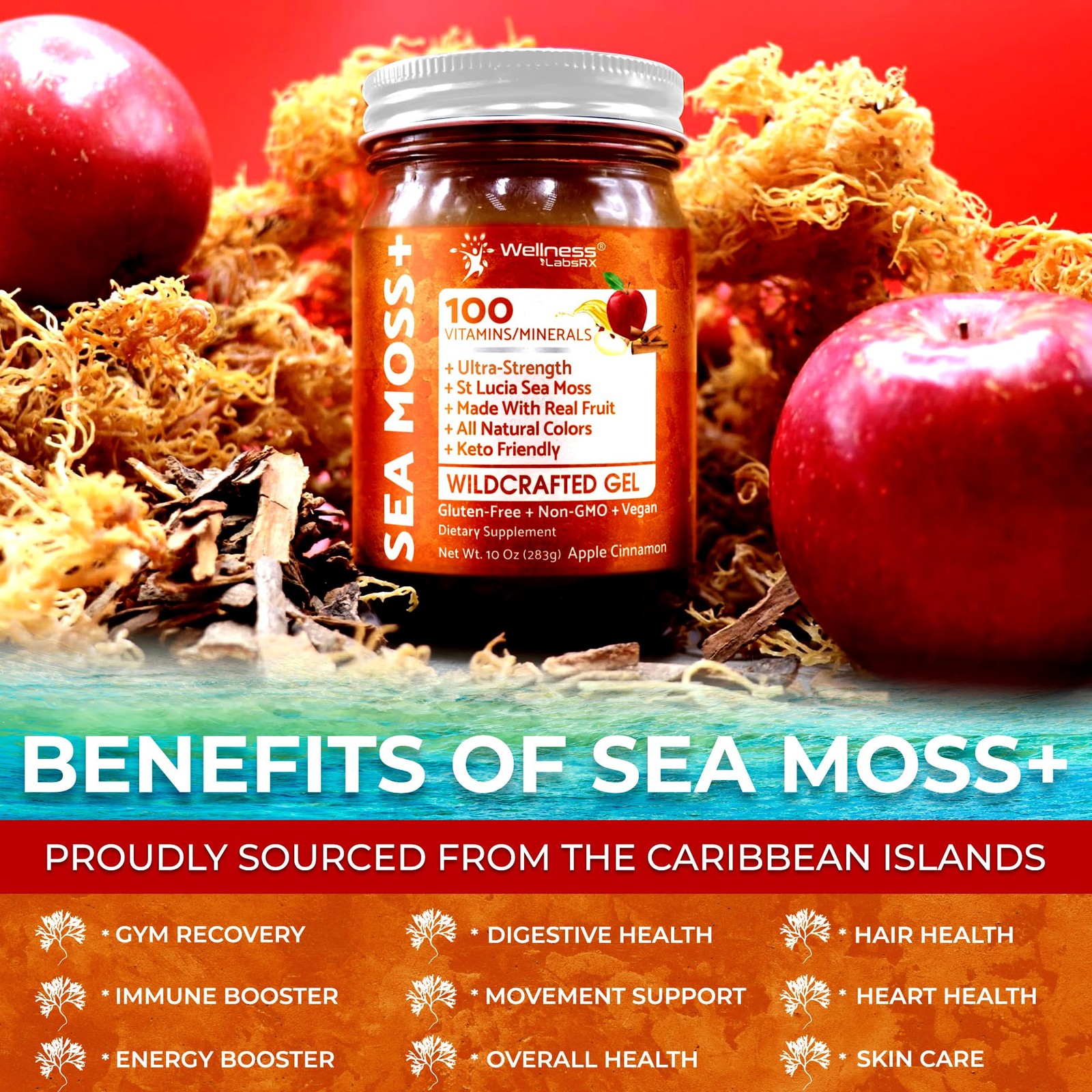 Irish Sea Moss Gel Raw Wildcrafted Superfood Seamoss Gel Apple Cinnamon Fla…