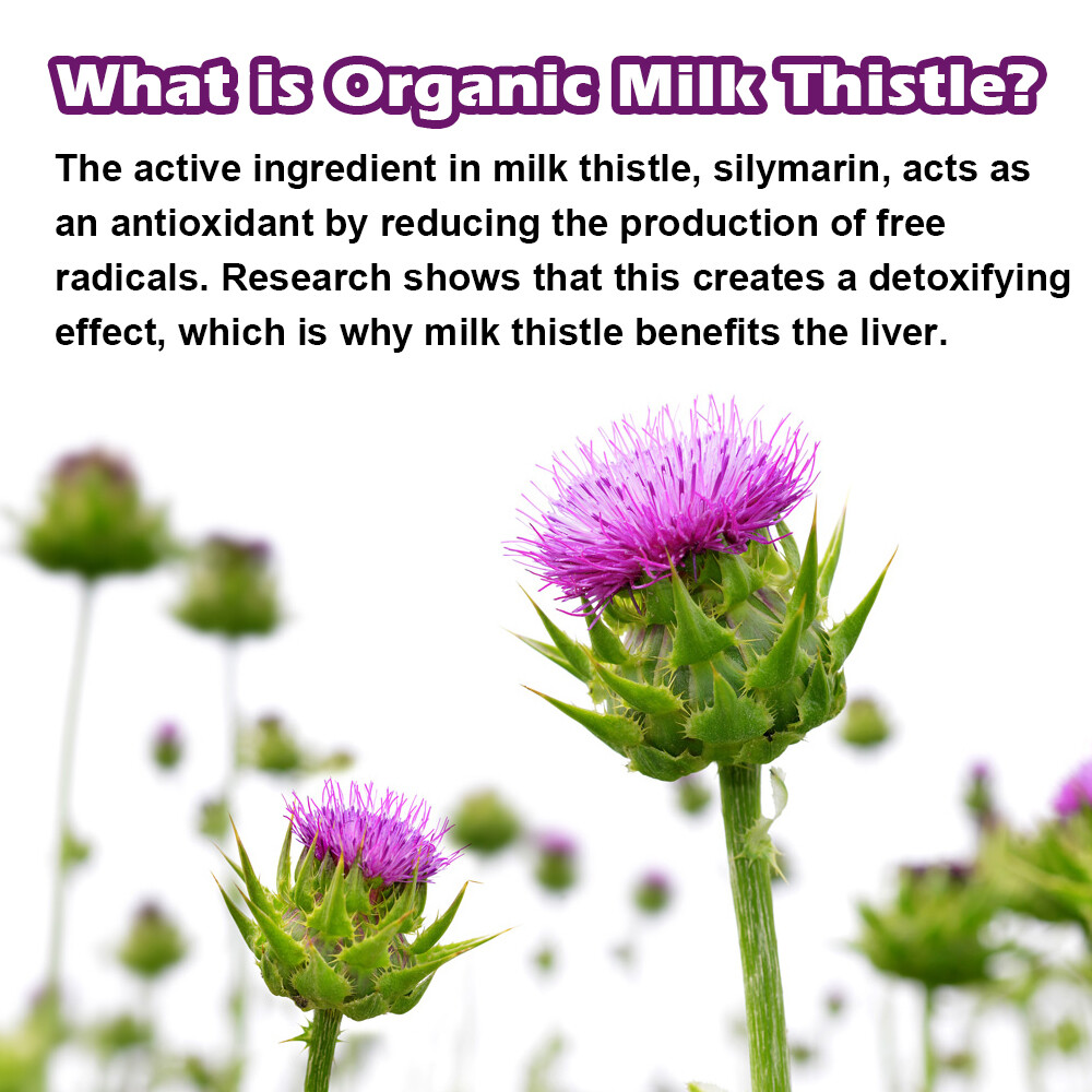 Liver Cleanse Repair Capsules Detox Cleanser with Organic Milk Thistle 12000mg