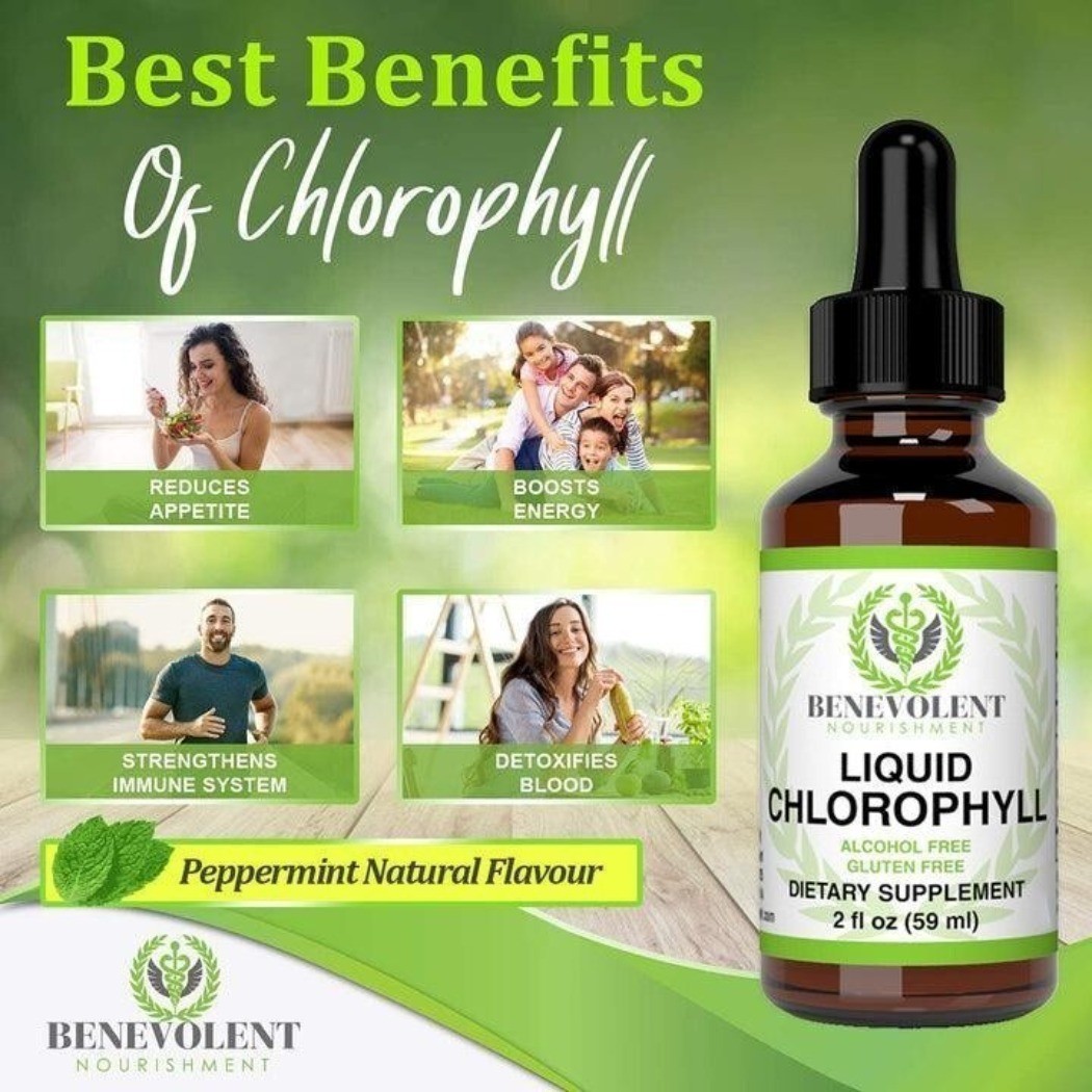 NEW Benevolent Nourishment Liquid Chlorophyll Drops Herbal Supplement 2 fl oz