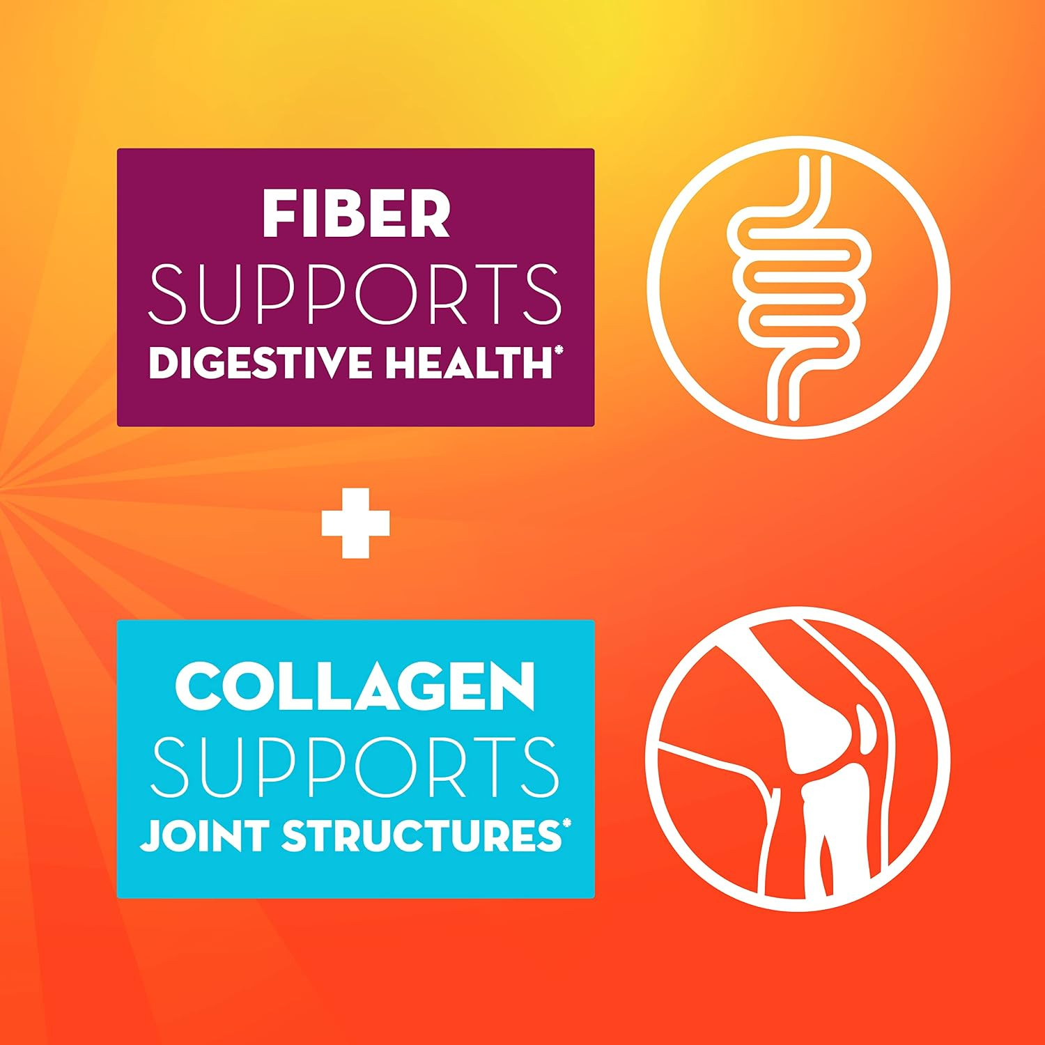 Metamucil Daily Fiber + Collagen, Psyllium Husk Powder, Plant Based Fiber Supple