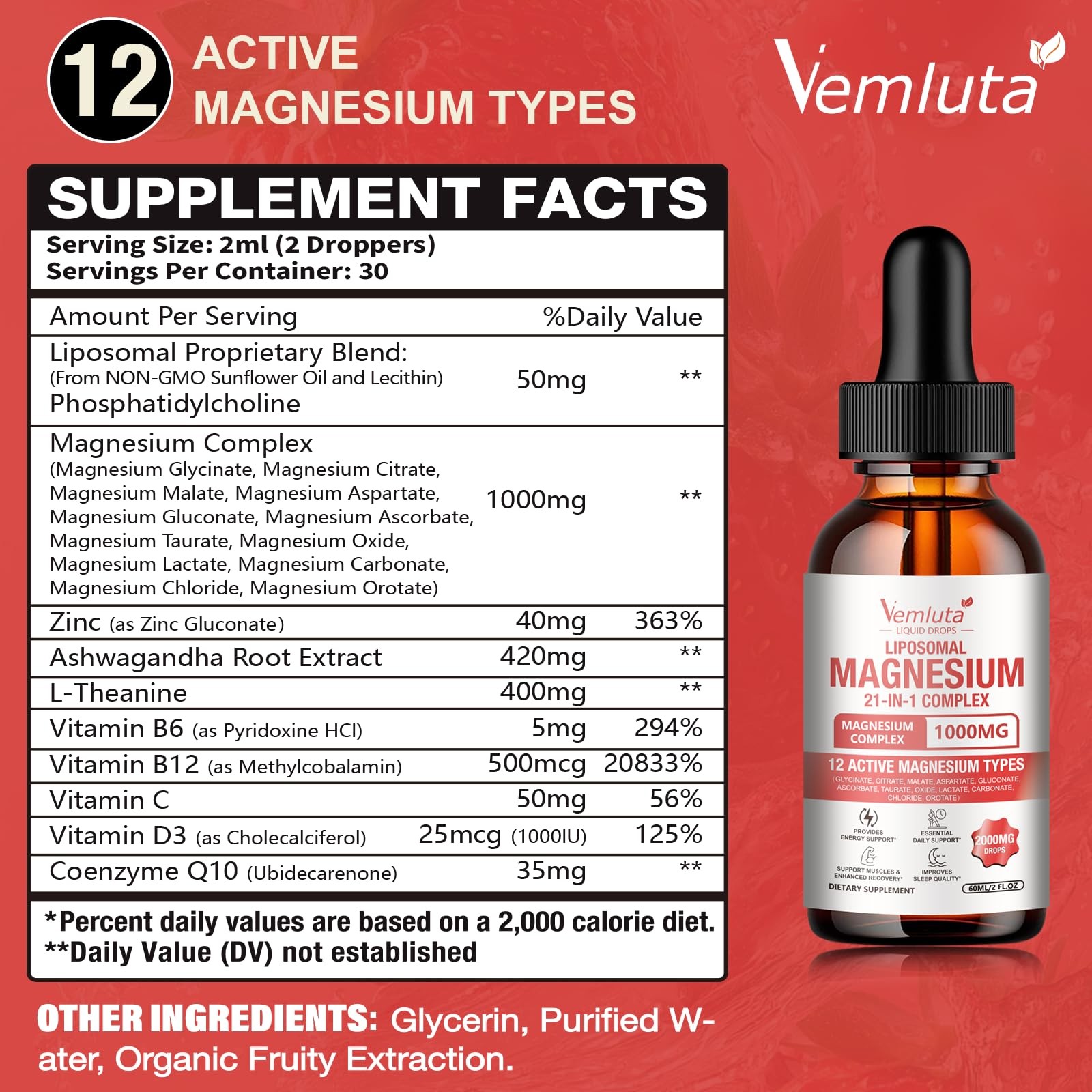 2 Packs 21-in-1 Liposomal 12 Active Magnesium Complex 2000MG+ Liquid Drops – …