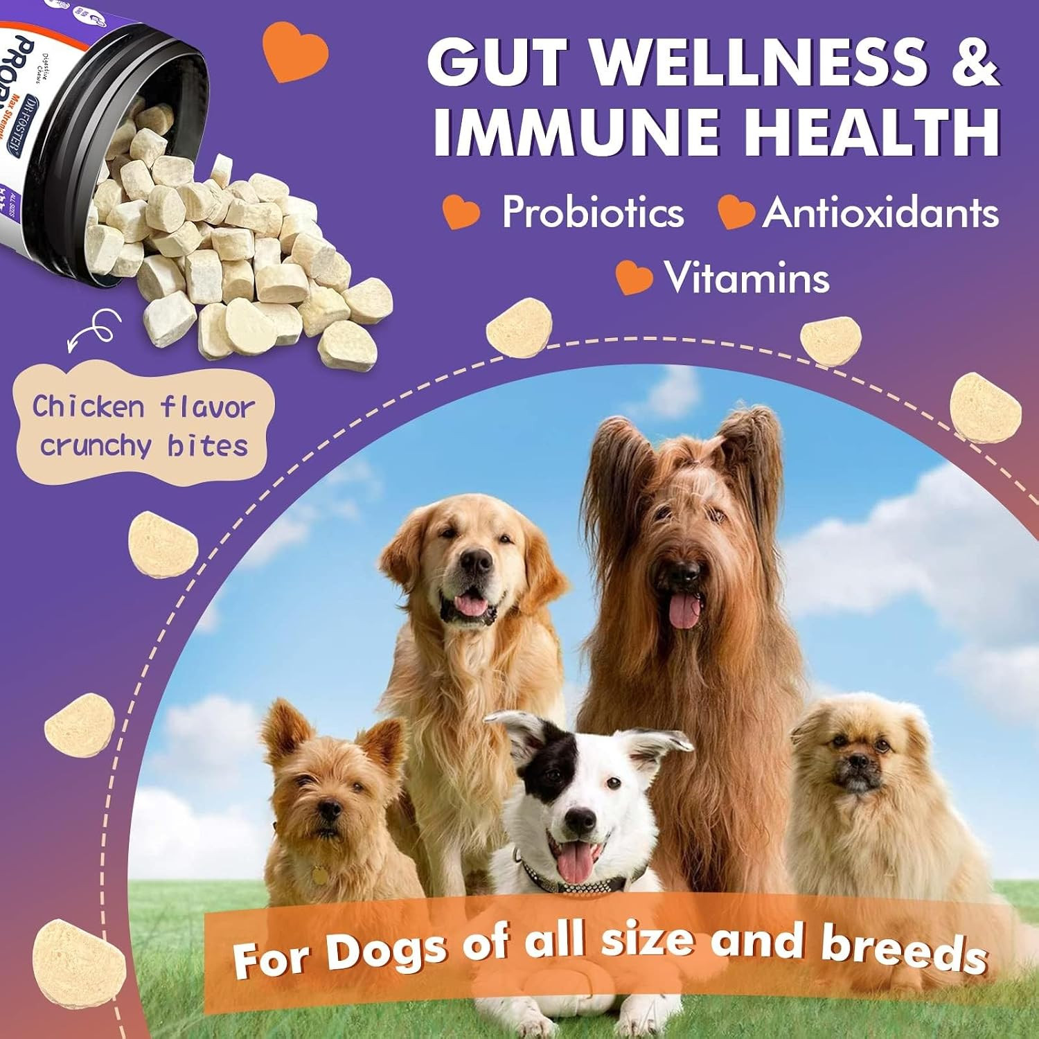 DRFOSTER Probiotics & Digestive Enzymes for Dogs, Freeze-Dried, 120 Bites | 3-In