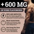 Black Forest High Flavanol Cocoa Powder Flavonoids Supplement 1200 mg