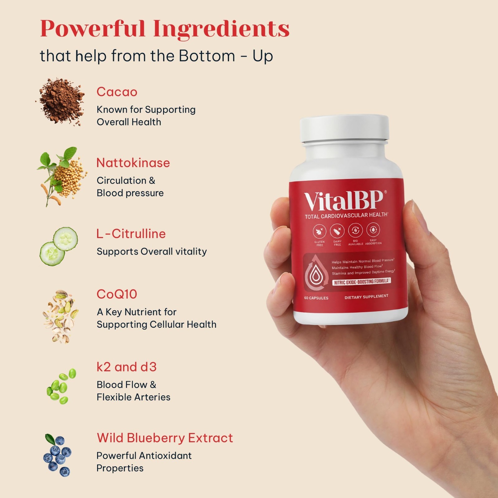 Blood Pressure Support Supplement with CoQ10, K2, D3 & L-Citrulline – 60 Caps