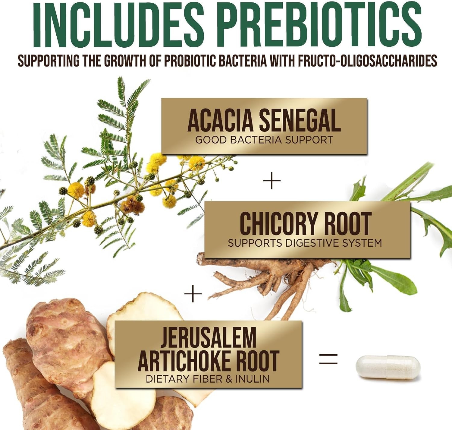 Probiotics & Prebiotics 60 Billion CFU – 10 Strains for Digestion & Immunity