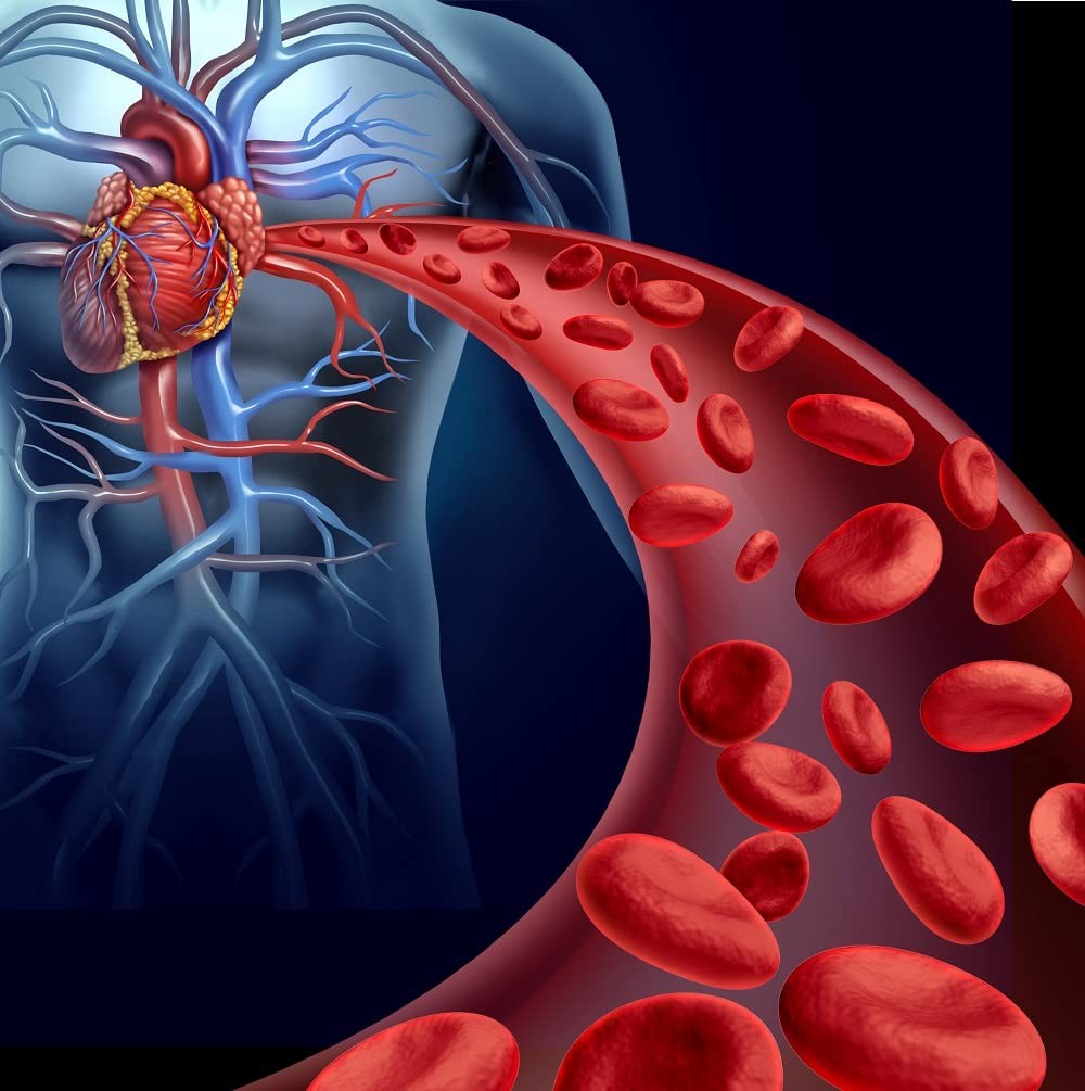 Nattokinase NSK-SD 2,000 Units 60 Capsules – The Cardiovascular Superfood of …