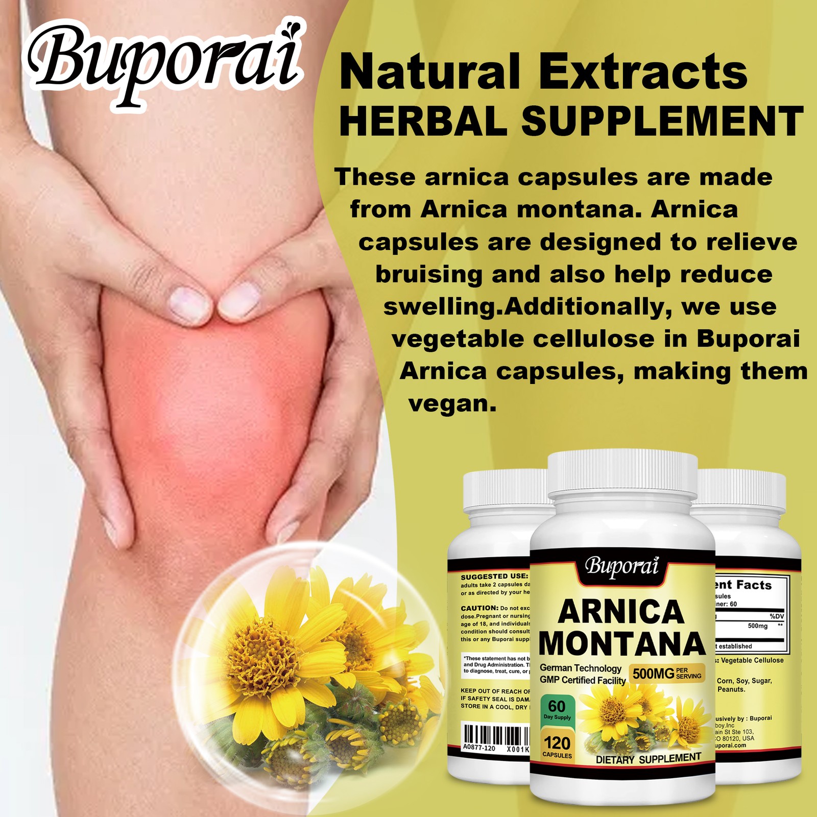 Arnica Montana 500mg -High Potency,Pain,Bruises Relief,Anti-Inflammatory Support