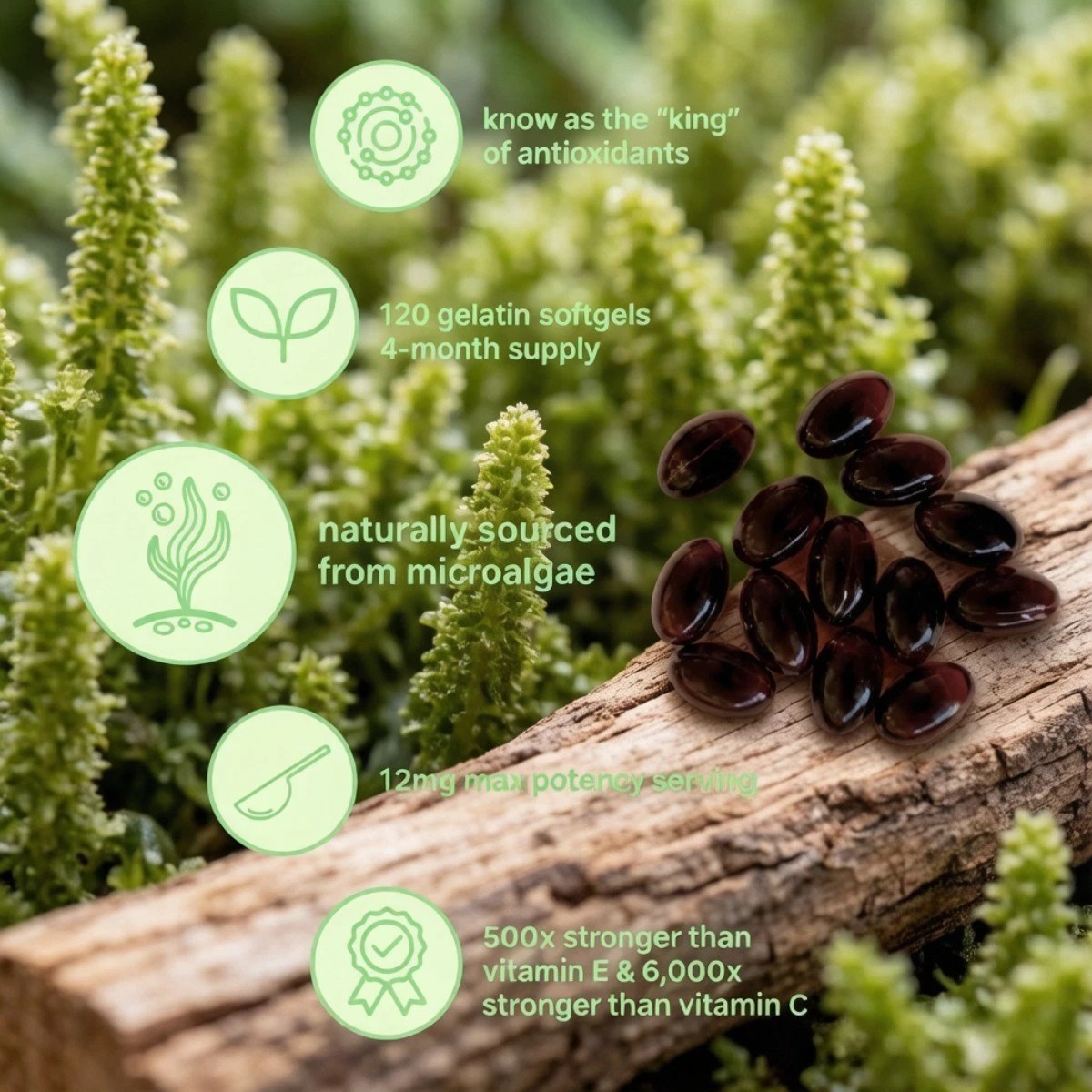 Micro Ingredients Astaxanthin 12mg Softgels Microalgae Antioxidant Skin